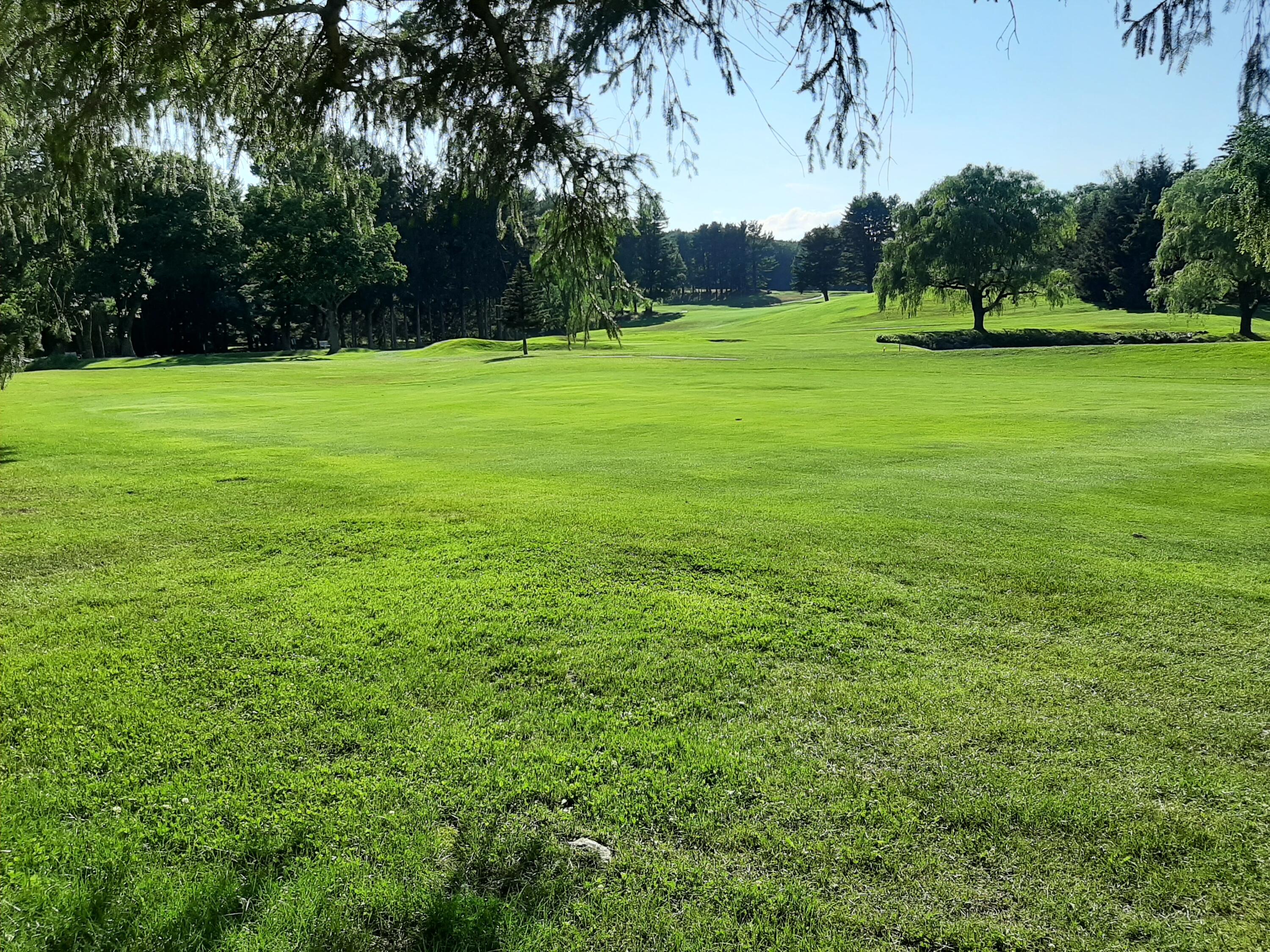 479 Golf Drive Property Photo 19
