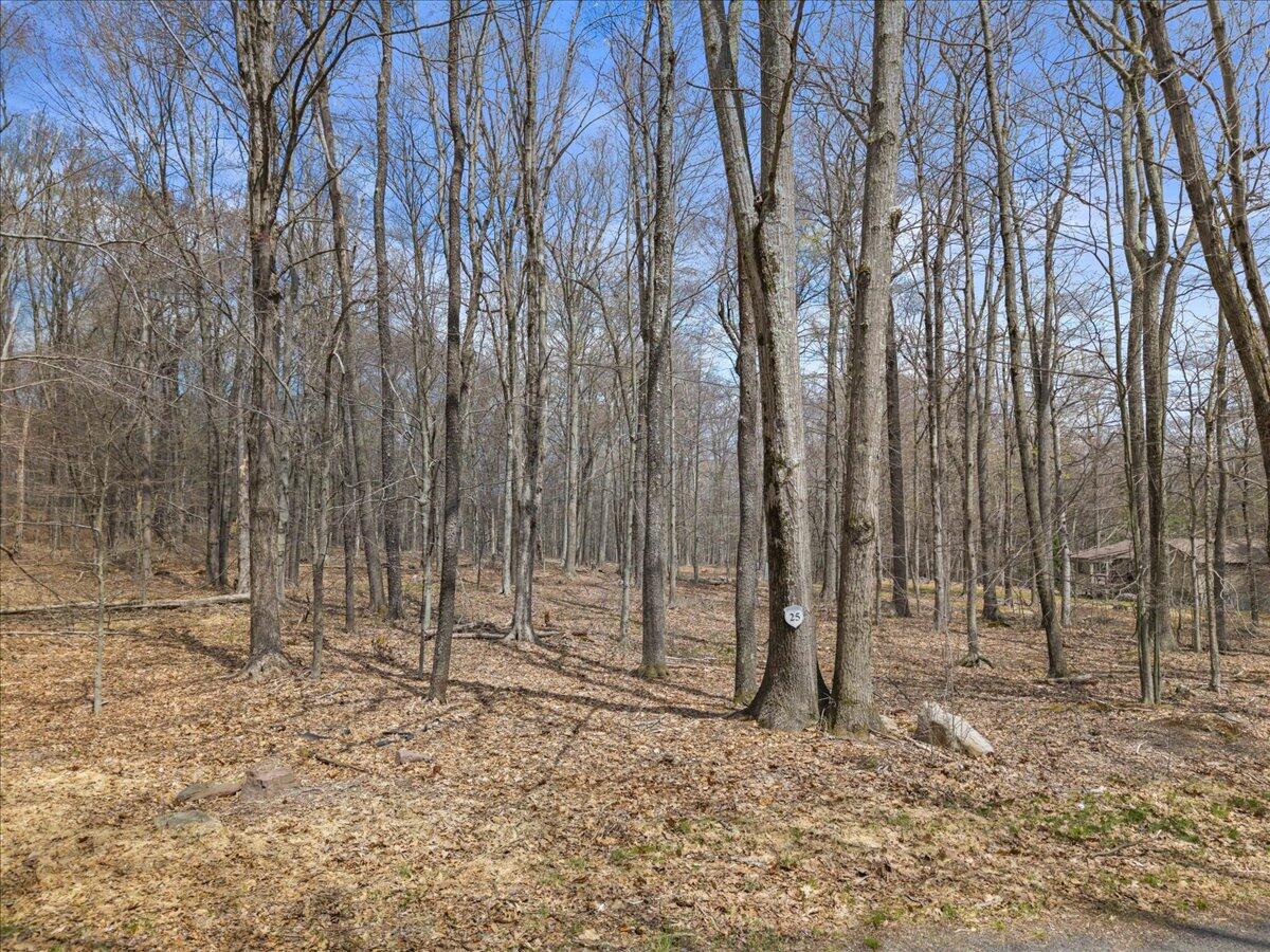 Oak Leaf Ln 25 Property Photo 2