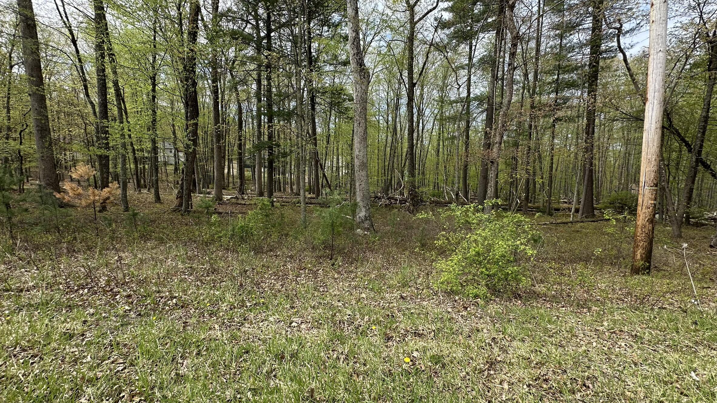 Lot 3144 Kirkham Road Property Photo 2