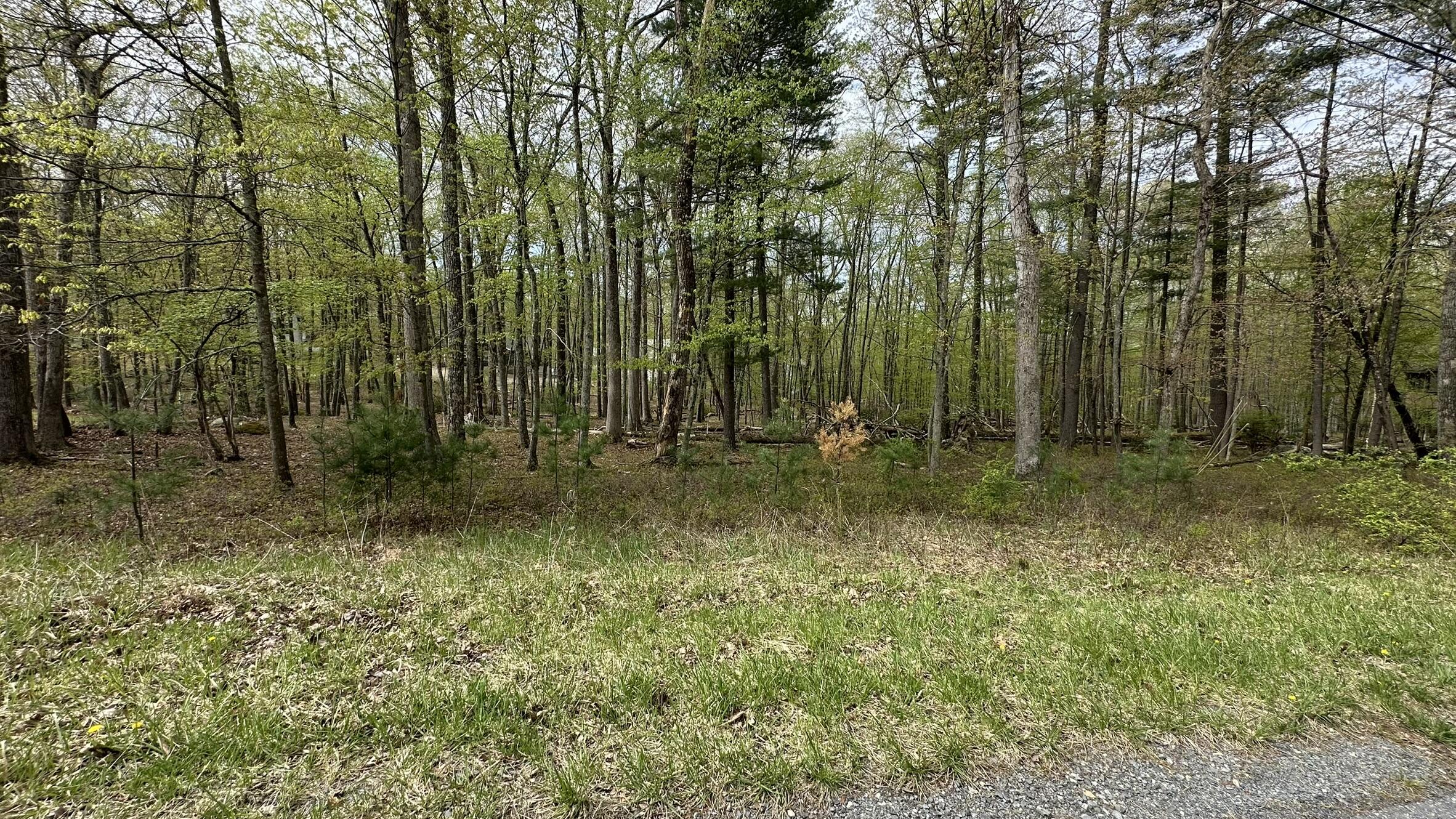 Lot 3144 Kirkham Road Property Photo 3