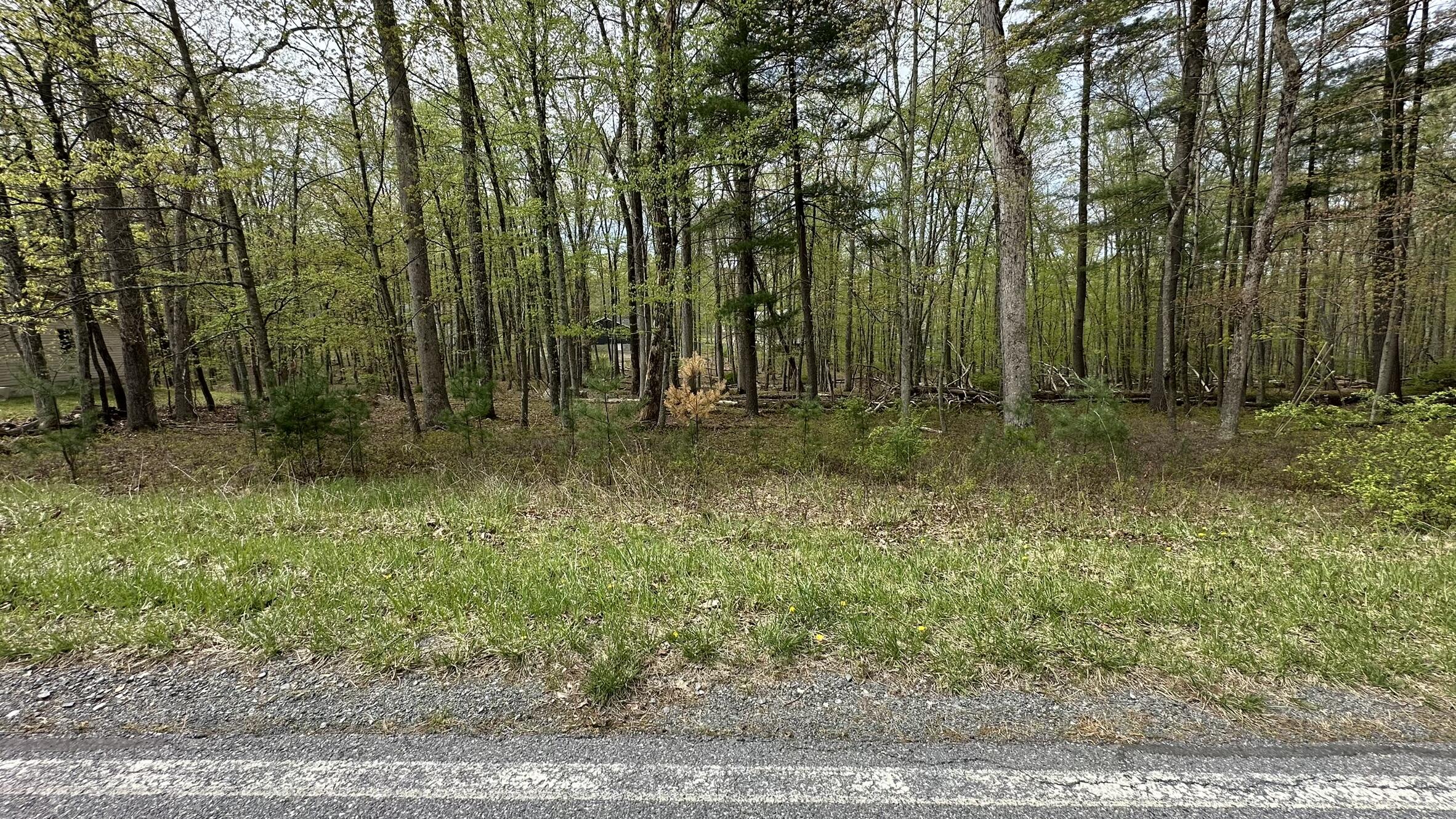 Lot 3144 Kirkham Road Property Photo 4