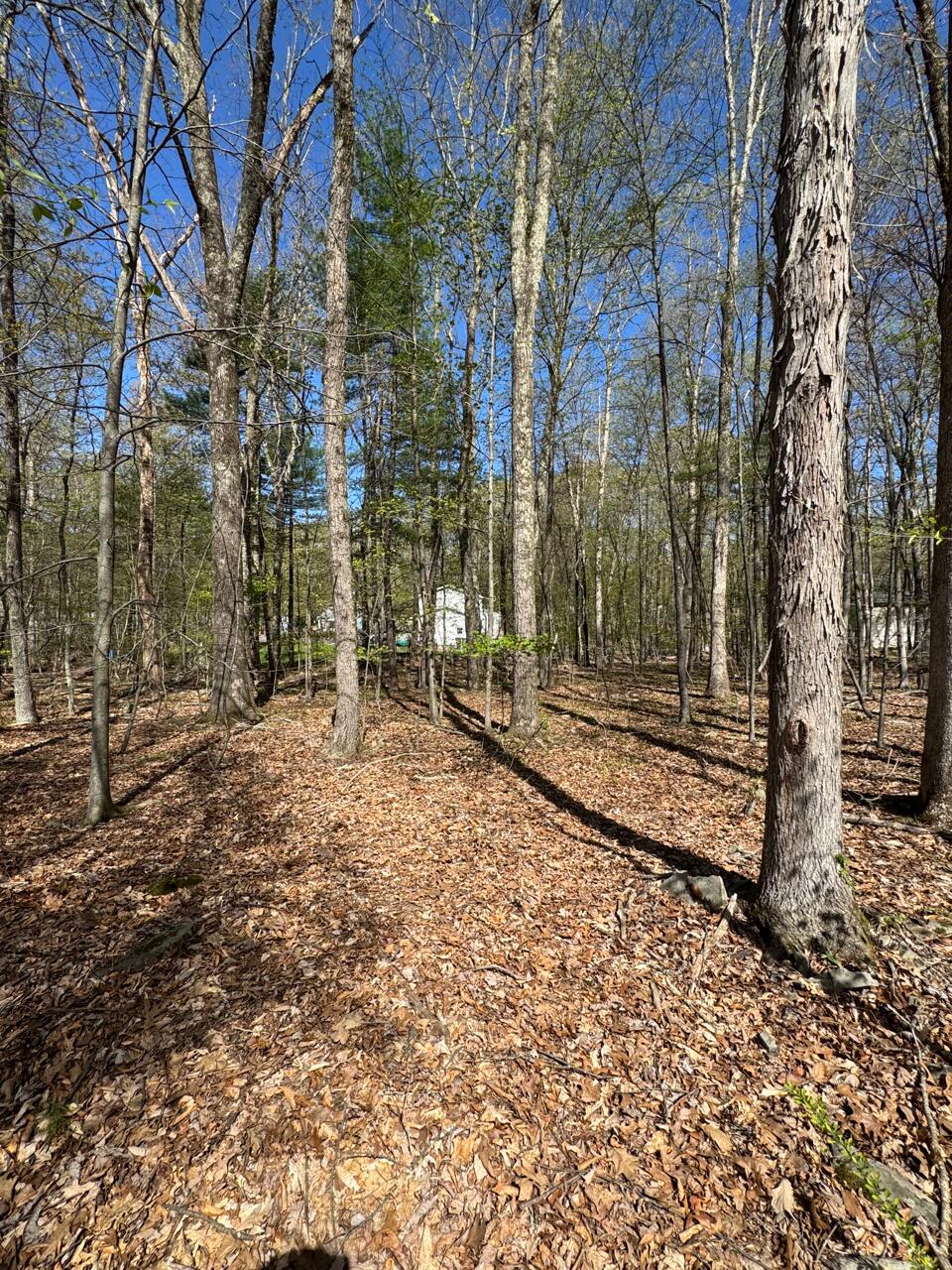 Charles Folly Rd 218 Property Photo 1