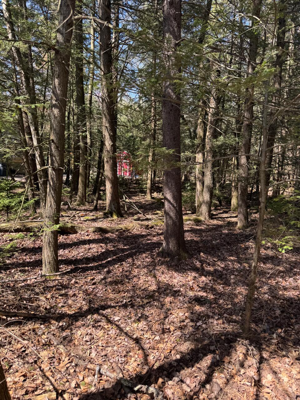 211 Alter Avenue Property Photo 1