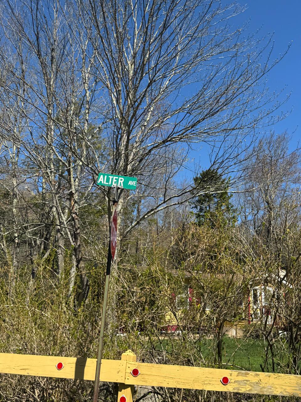 211 Alter Avenue Property Photo 2
