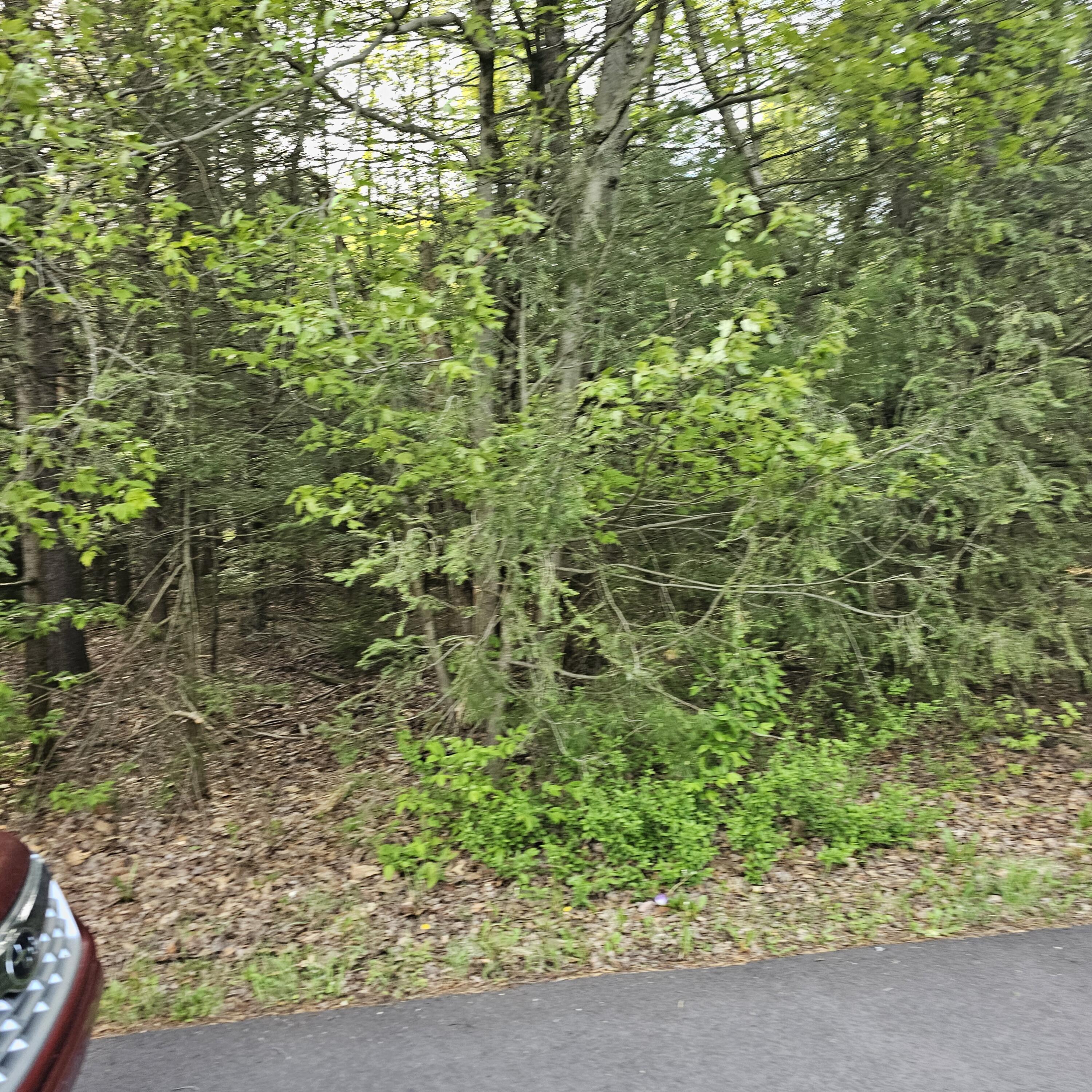 211 Alter Avenue Property Photo 4