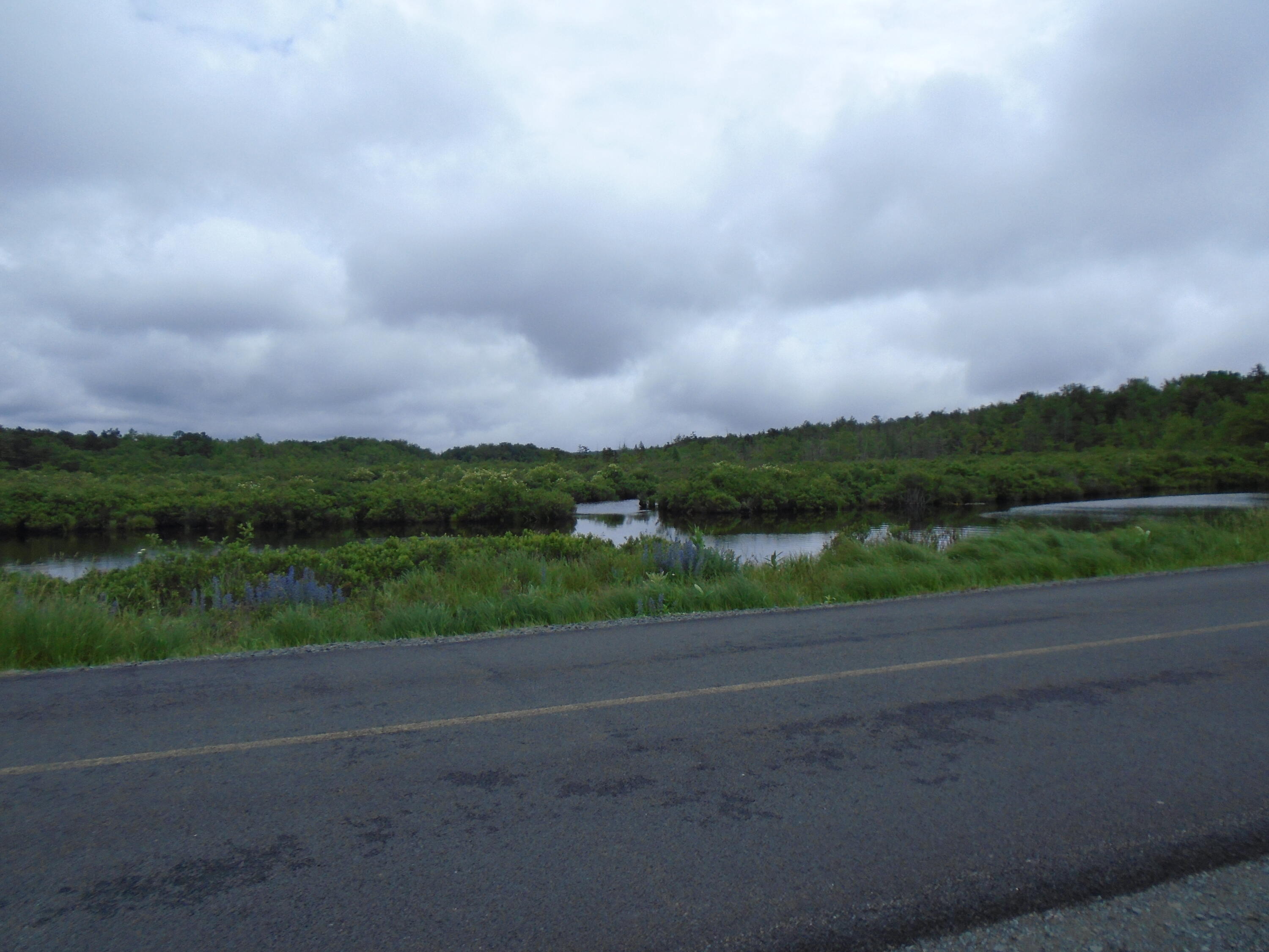 387 N Shore Drive Property Photo 43