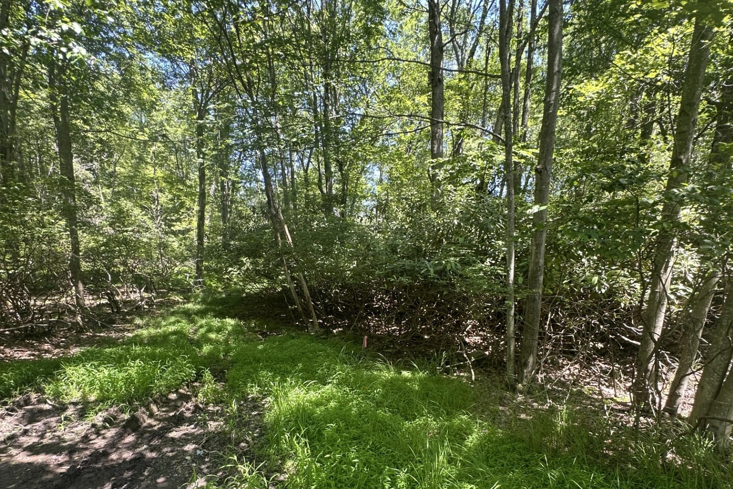 Lot 2 Tamarack Terrace Property Photo 5