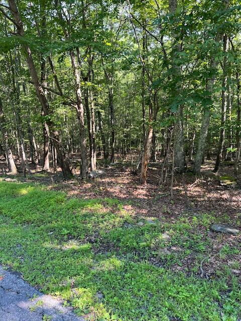 Pocono Forested Dr 22 Drive Property Photo 1