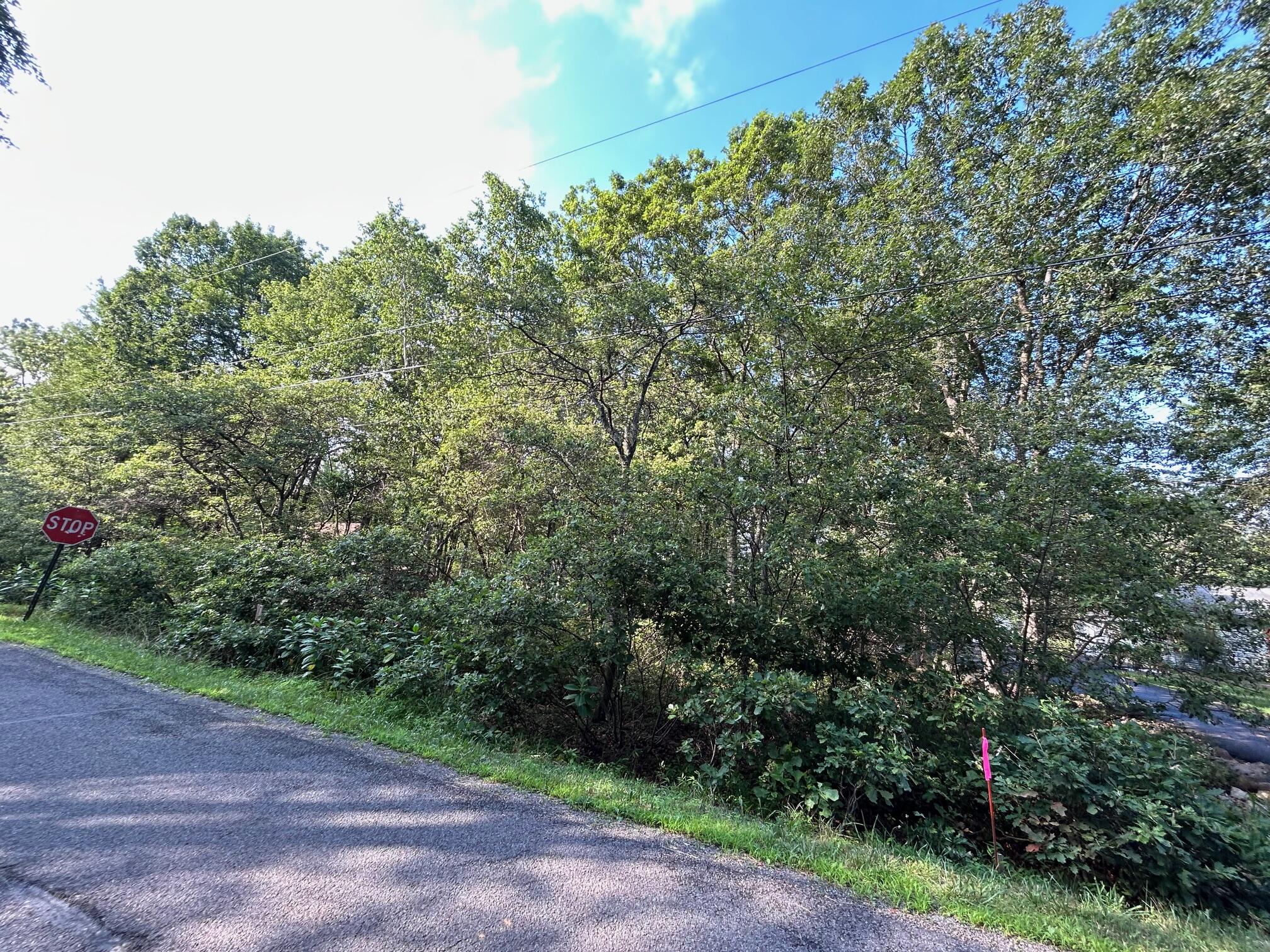 Lot F534 Pinoak Drive Property Photo 1