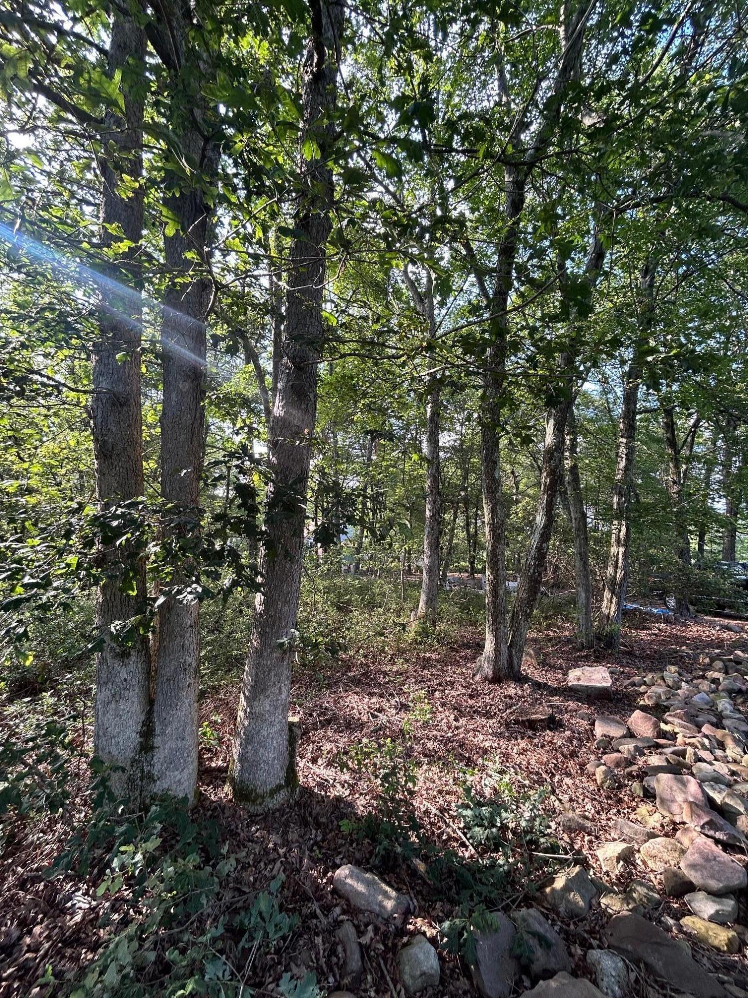 Lot F534 Pinoak Drive Property Photo 2