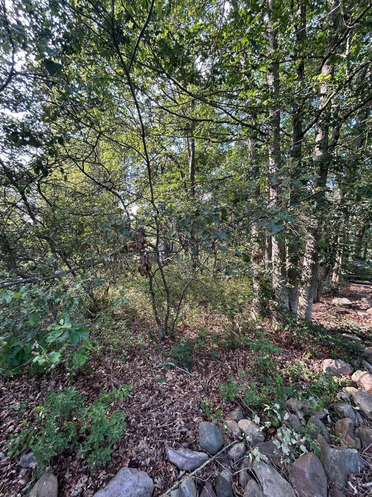 Lot F534 Pinoak Drive Property Photo 3