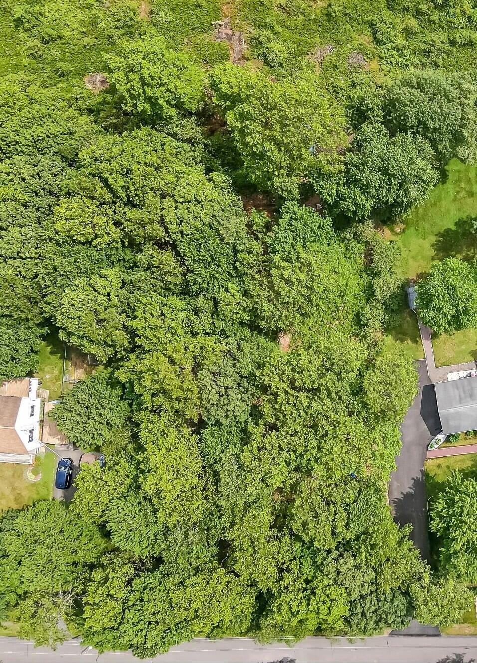 Lot F534 Pinoak Drive Property Photo 4
