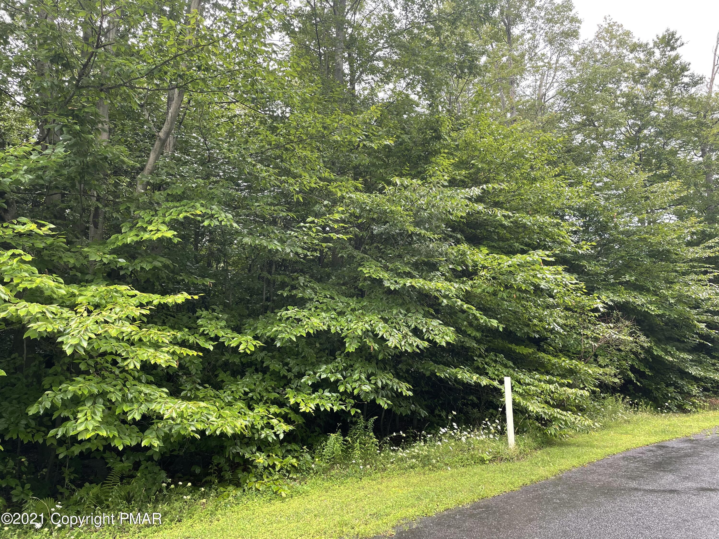 Lot 33 Scenic Drive Property Photo 1