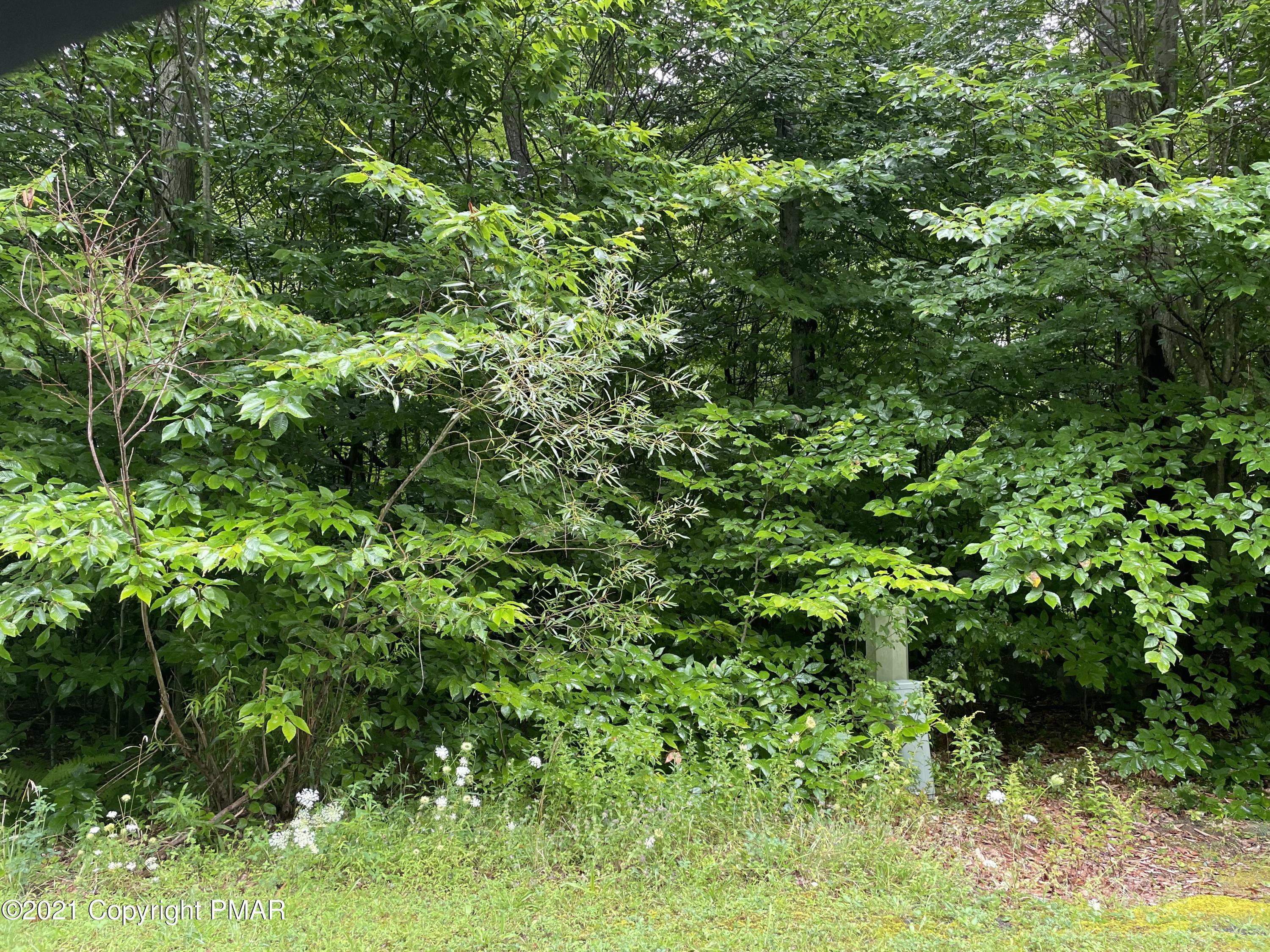 Lot 33 Scenic Drive Property Photo 3