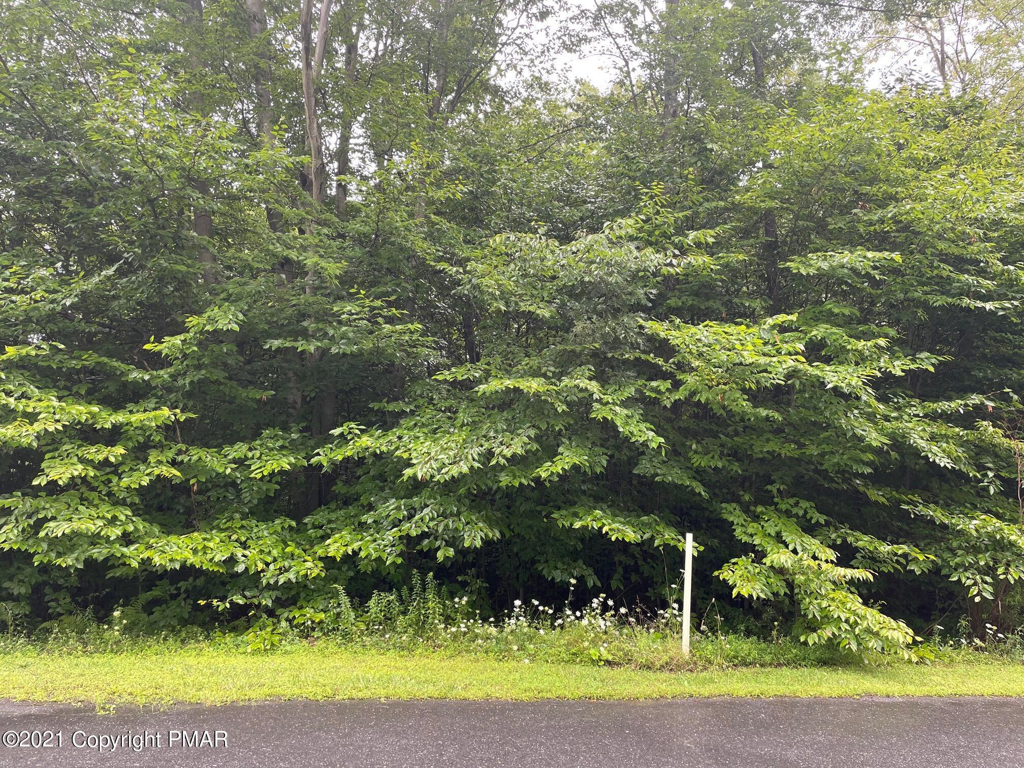 Lot 33 Scenic Drive Property Photo 4