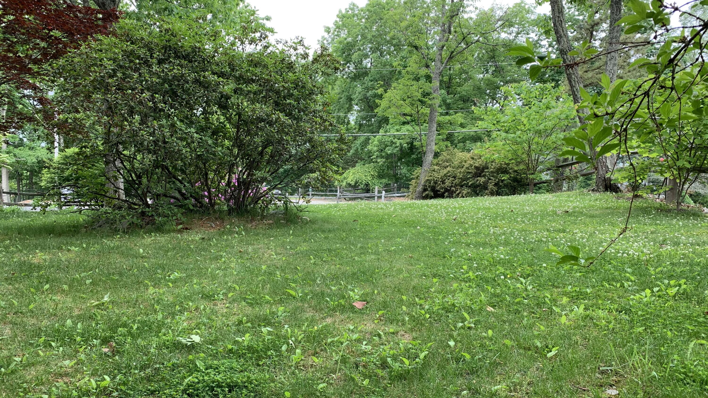 3205 Ely Court Property Photo 5