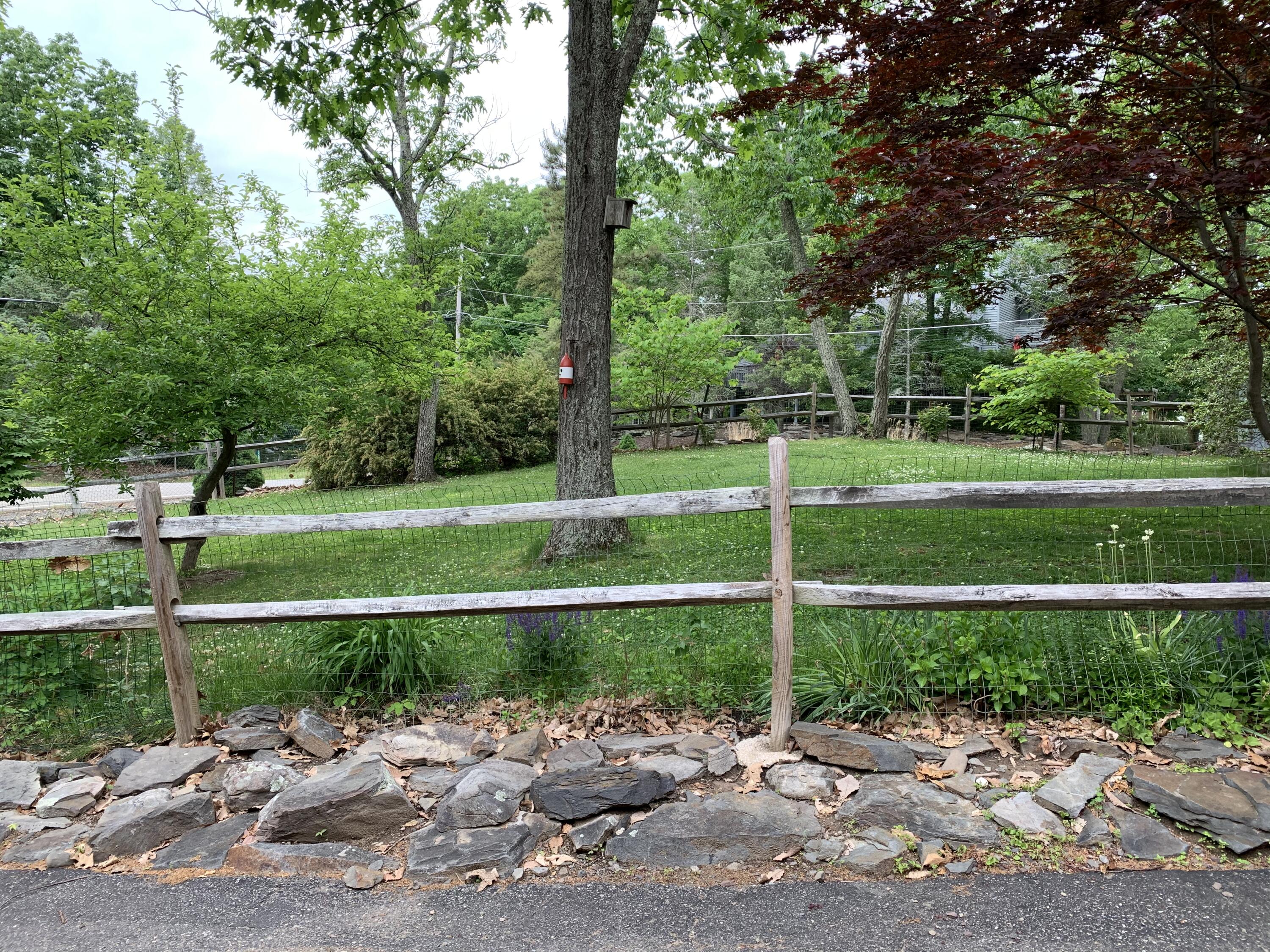3205 Ely Court Property Photo 6