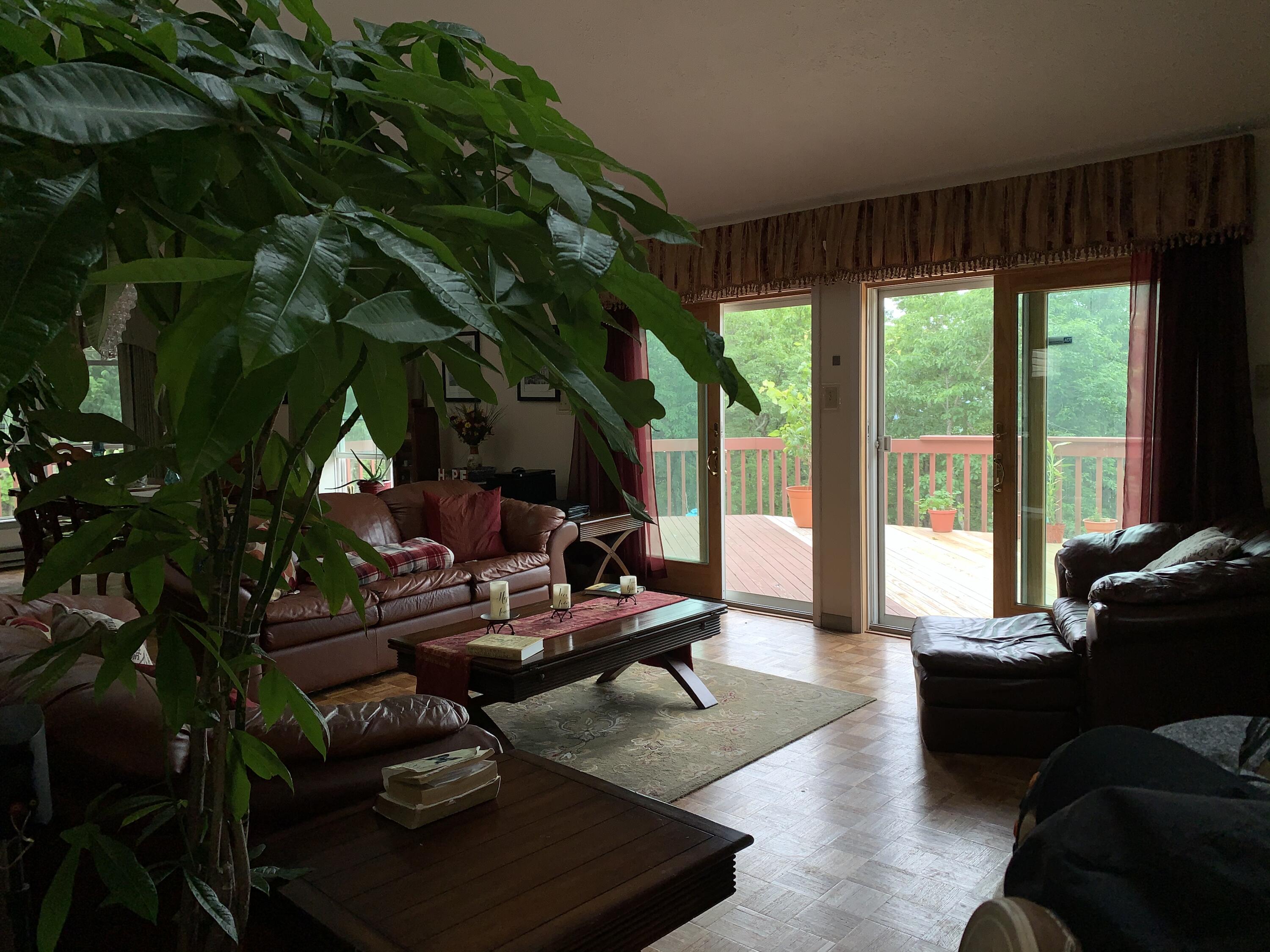 3205 Ely Court Property Photo 7