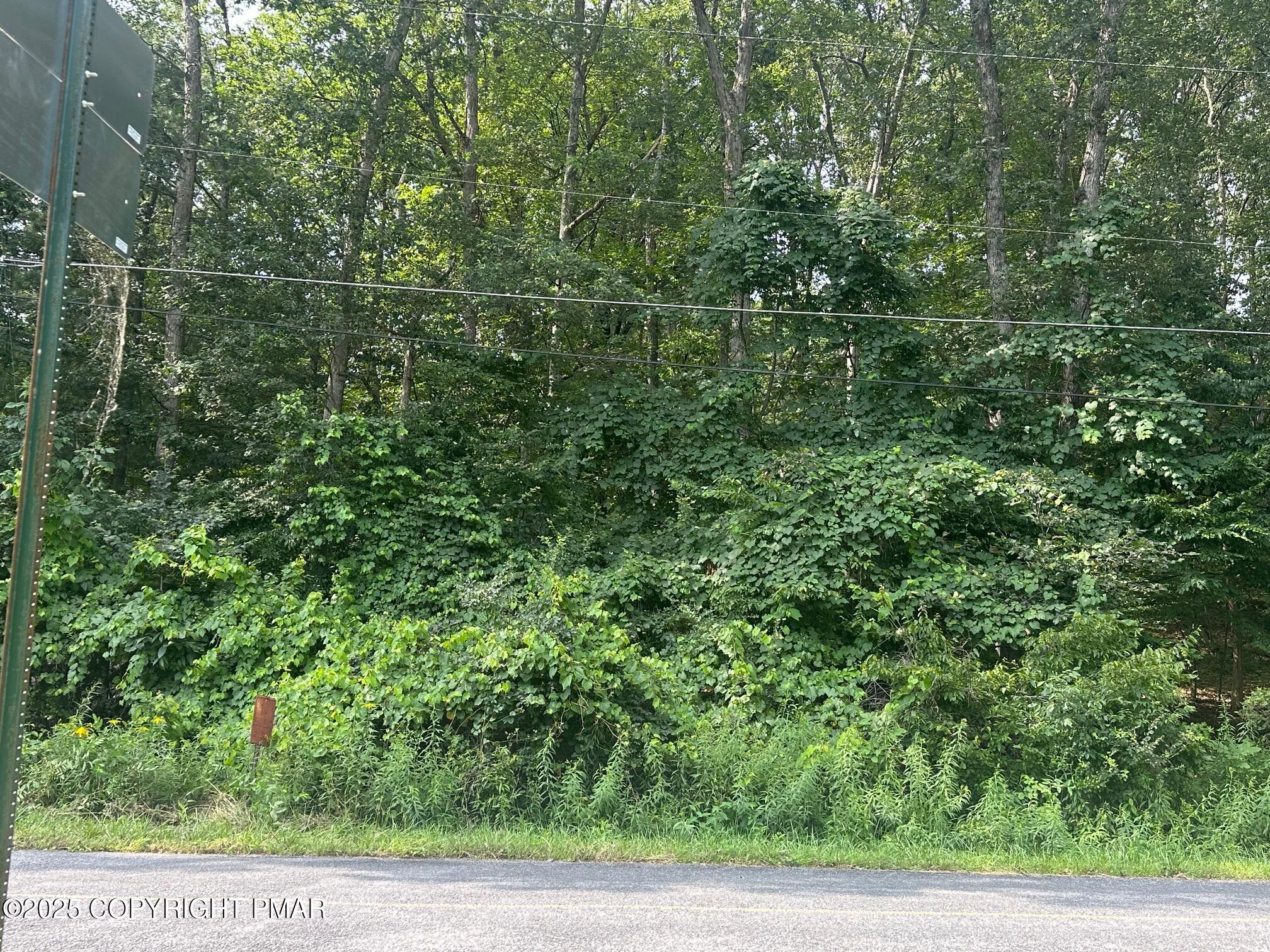 Lot 218 Brookdale Road Property Photo 2