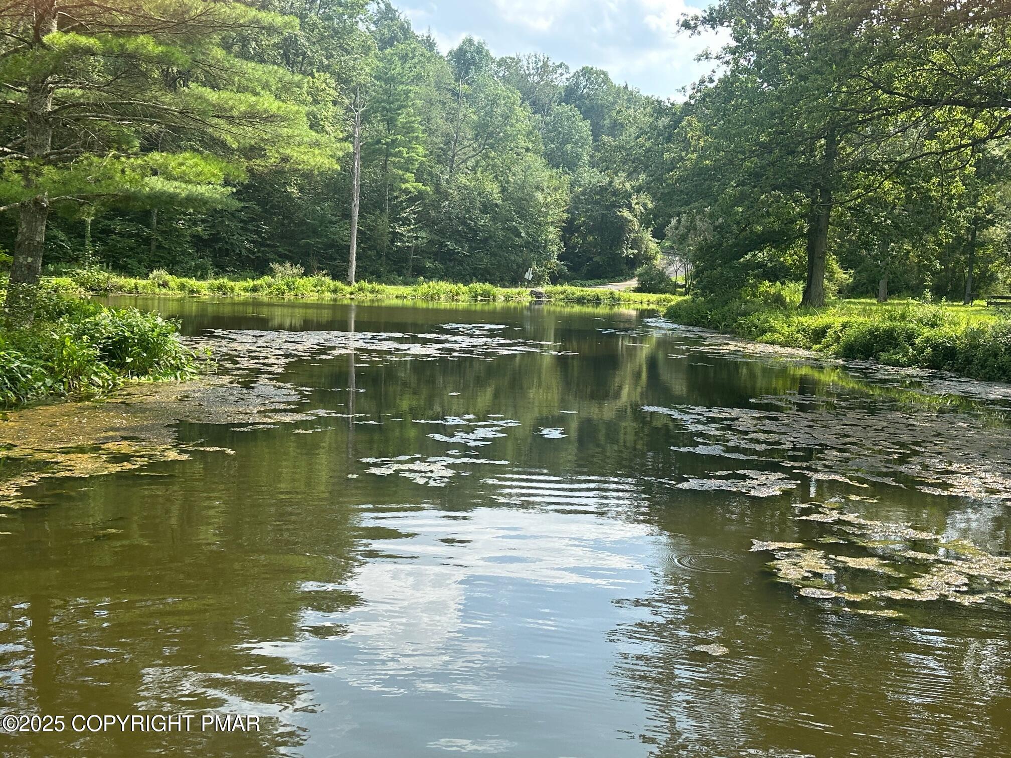 Lot 218 Brookdale Road Property Photo 4