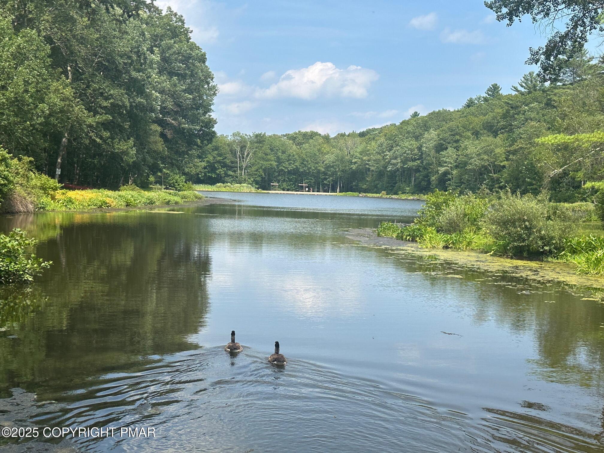 Lot 218 Brookdale Road Property Photo 6