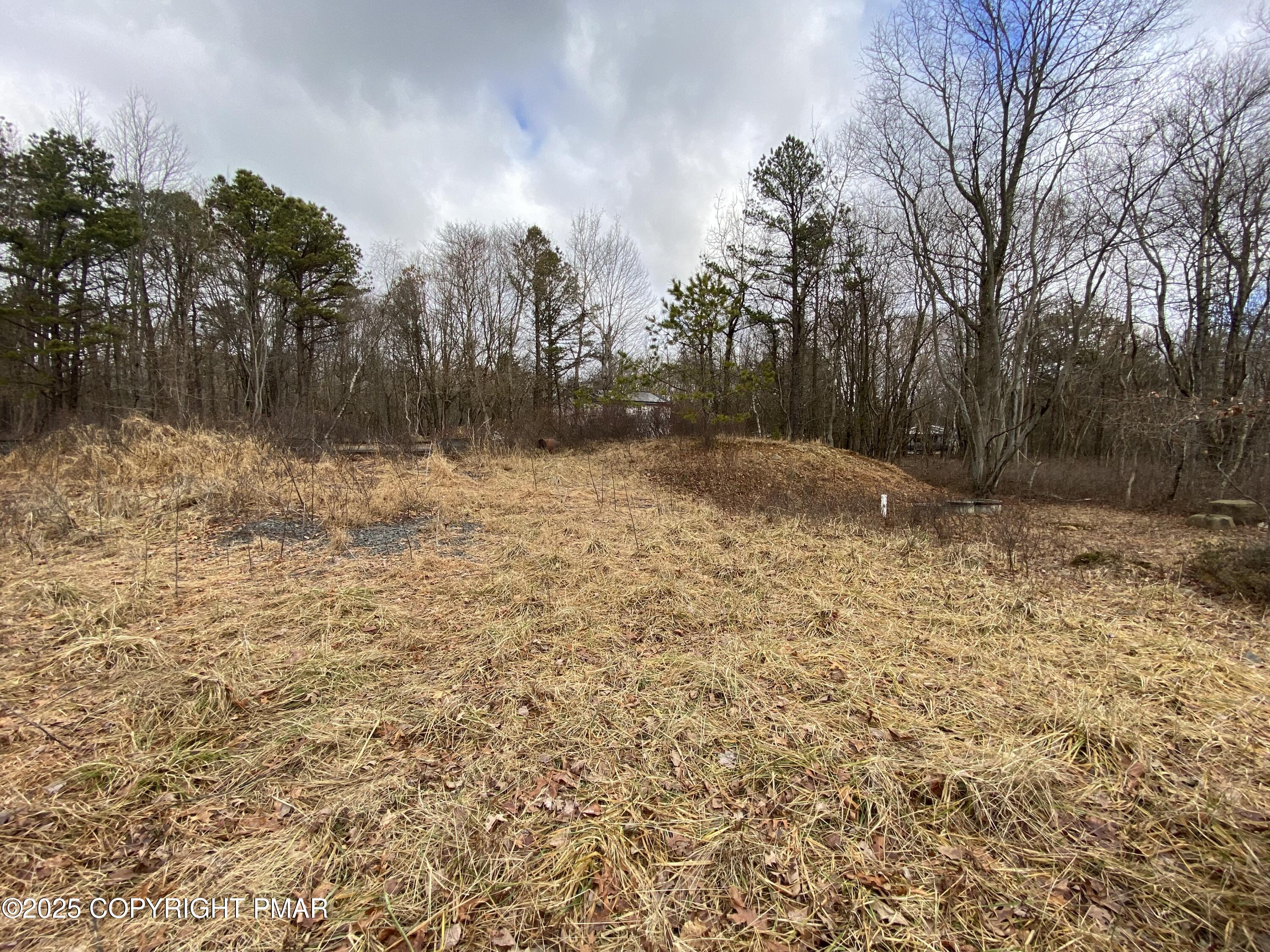 98 E Old Stage Road Property Photo 1