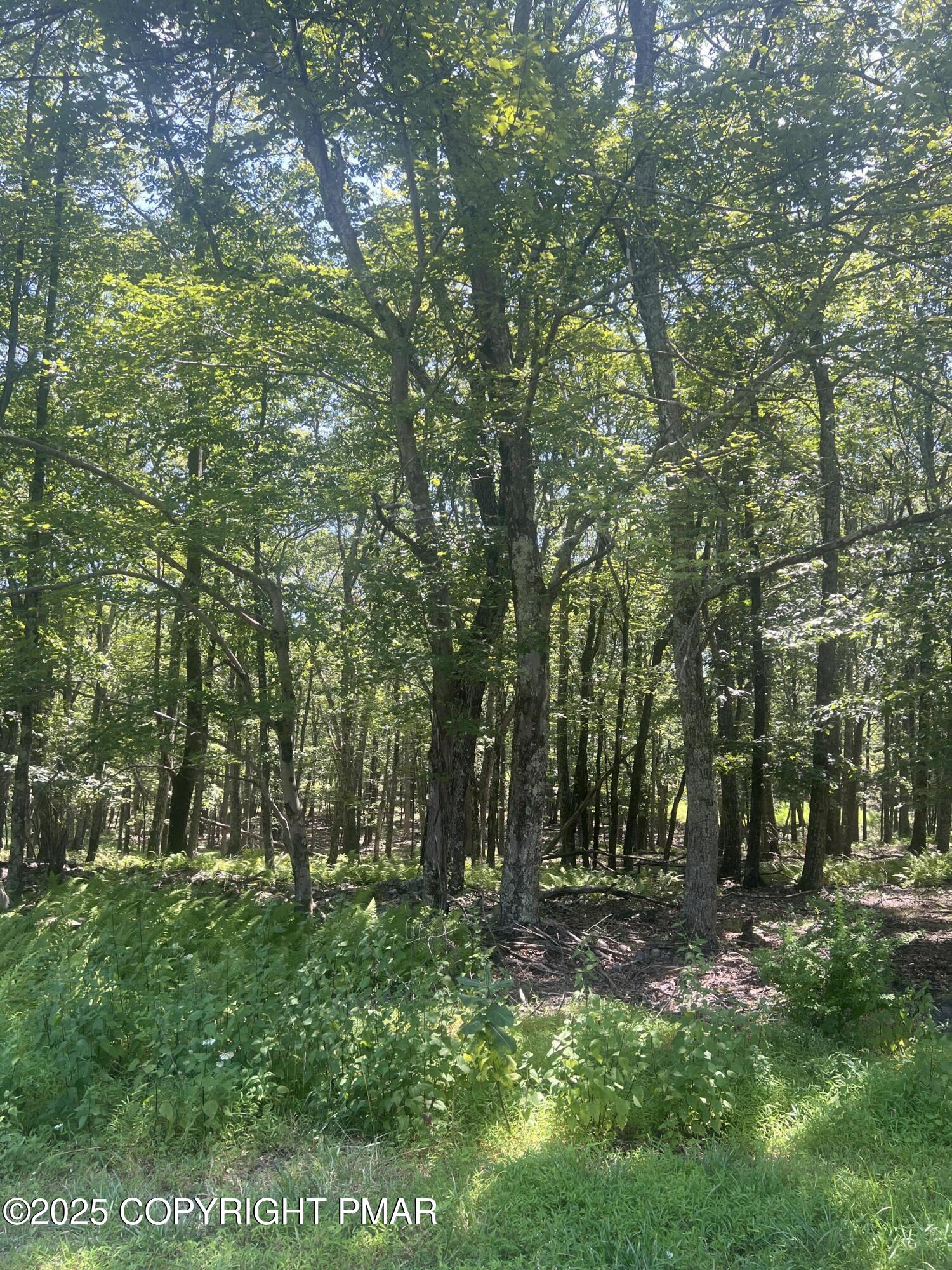 315 Doe Loop Property Photo 1