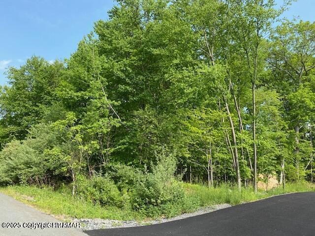 Lot 24 Swan Court Property Photo 3