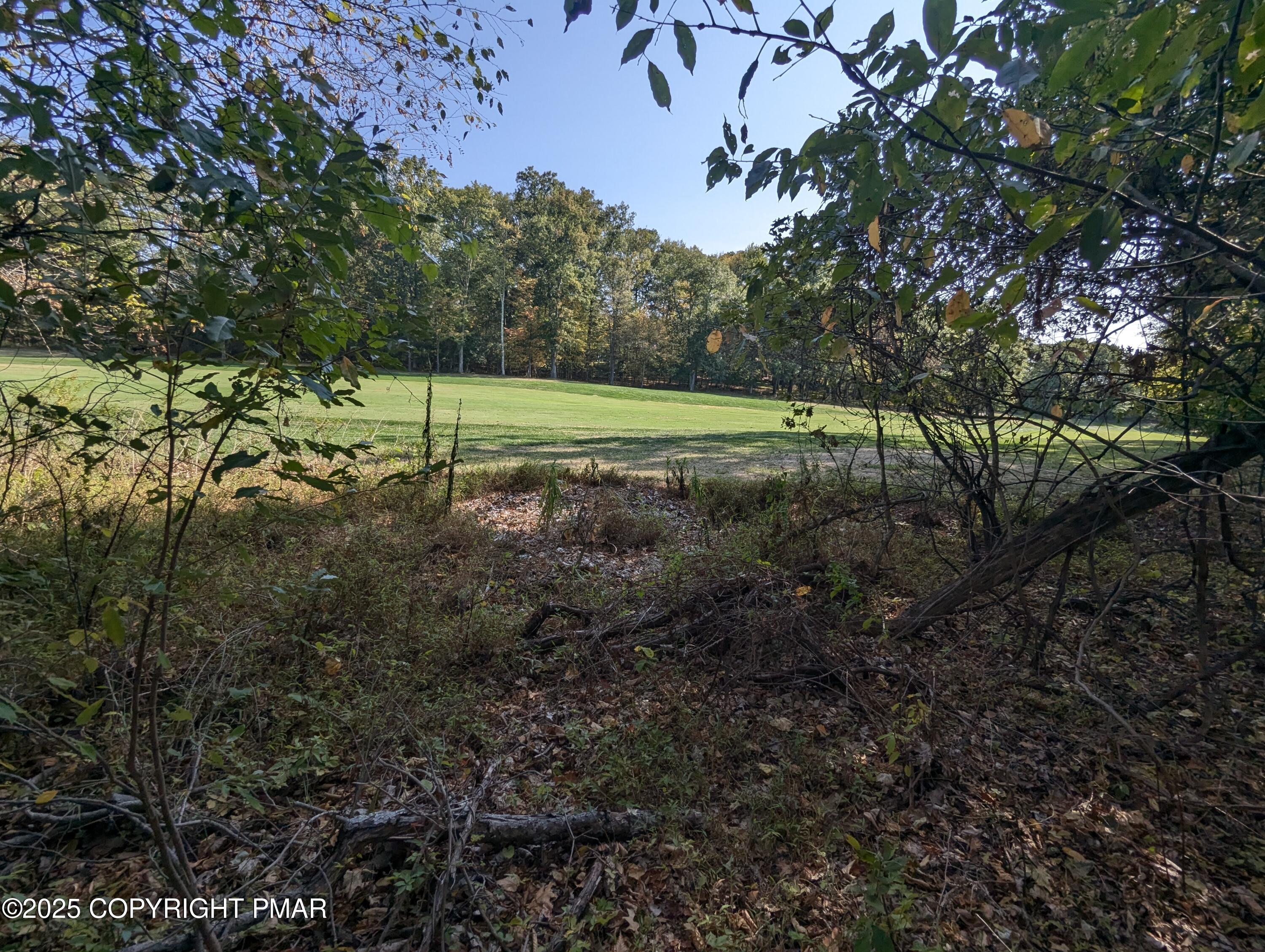 Lot 24 Swan Court Property Photo 5