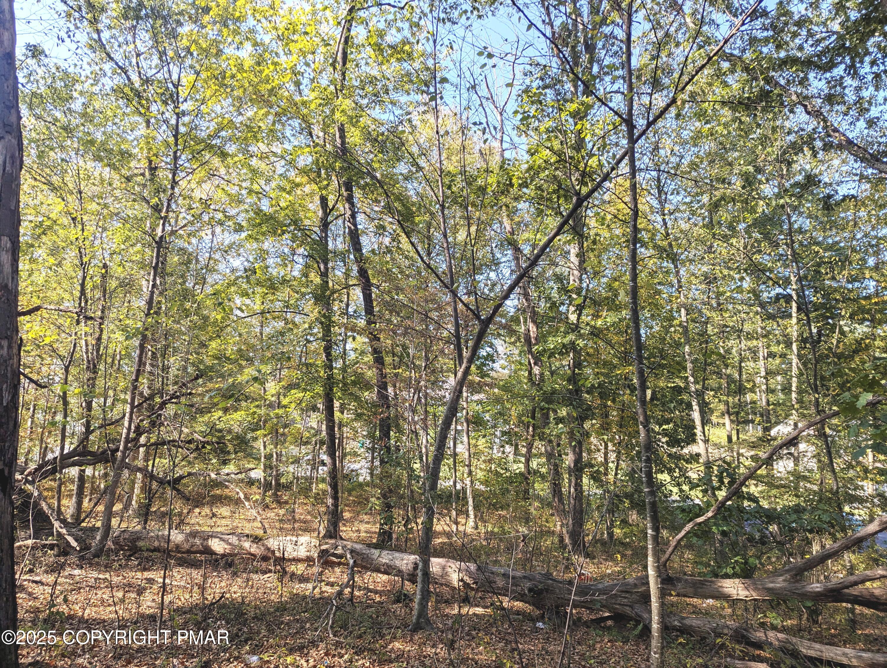 Lot 24 Swan Court Property Photo 6