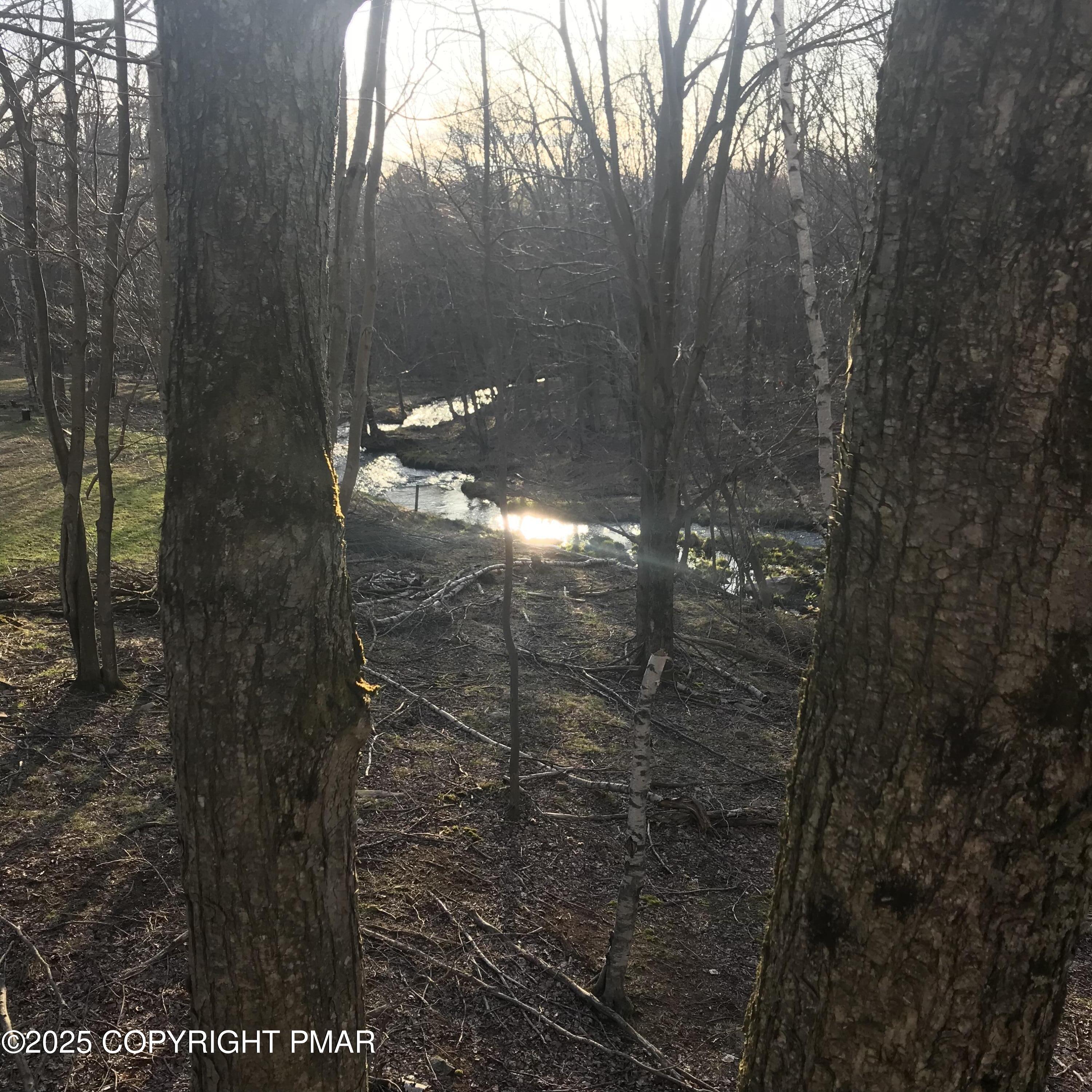 Lot 119 Mountain Rd Property Photo 1