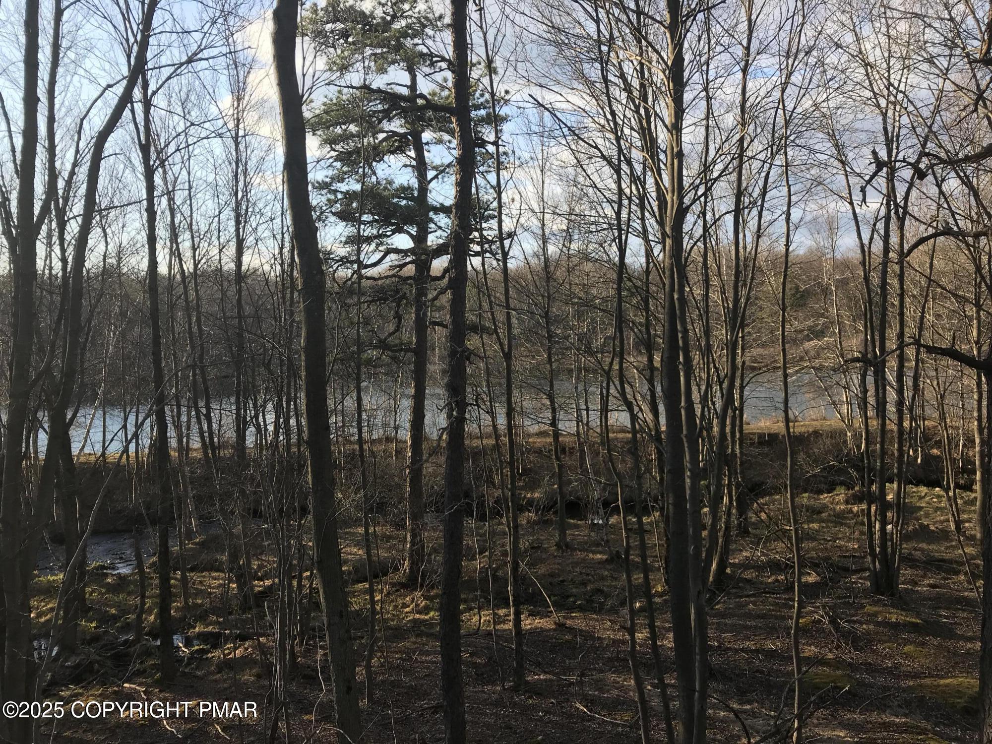 Lot 119 Mountain Rd Property Photo 3