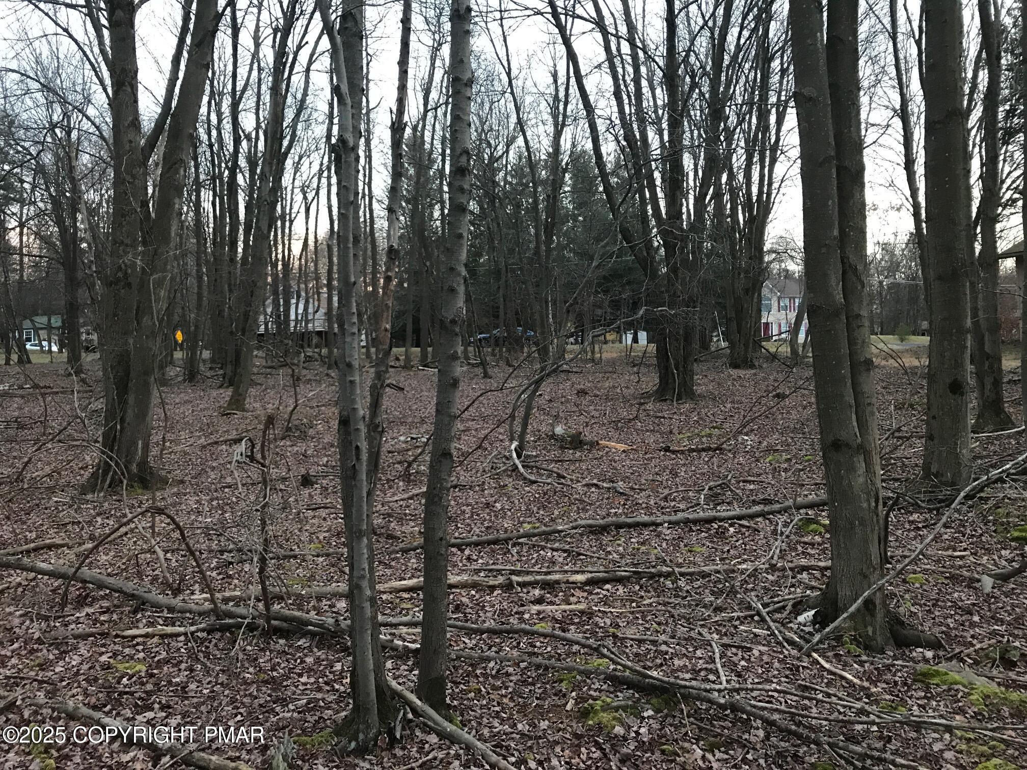 Lot 119 Mountain Rd Property Photo 8