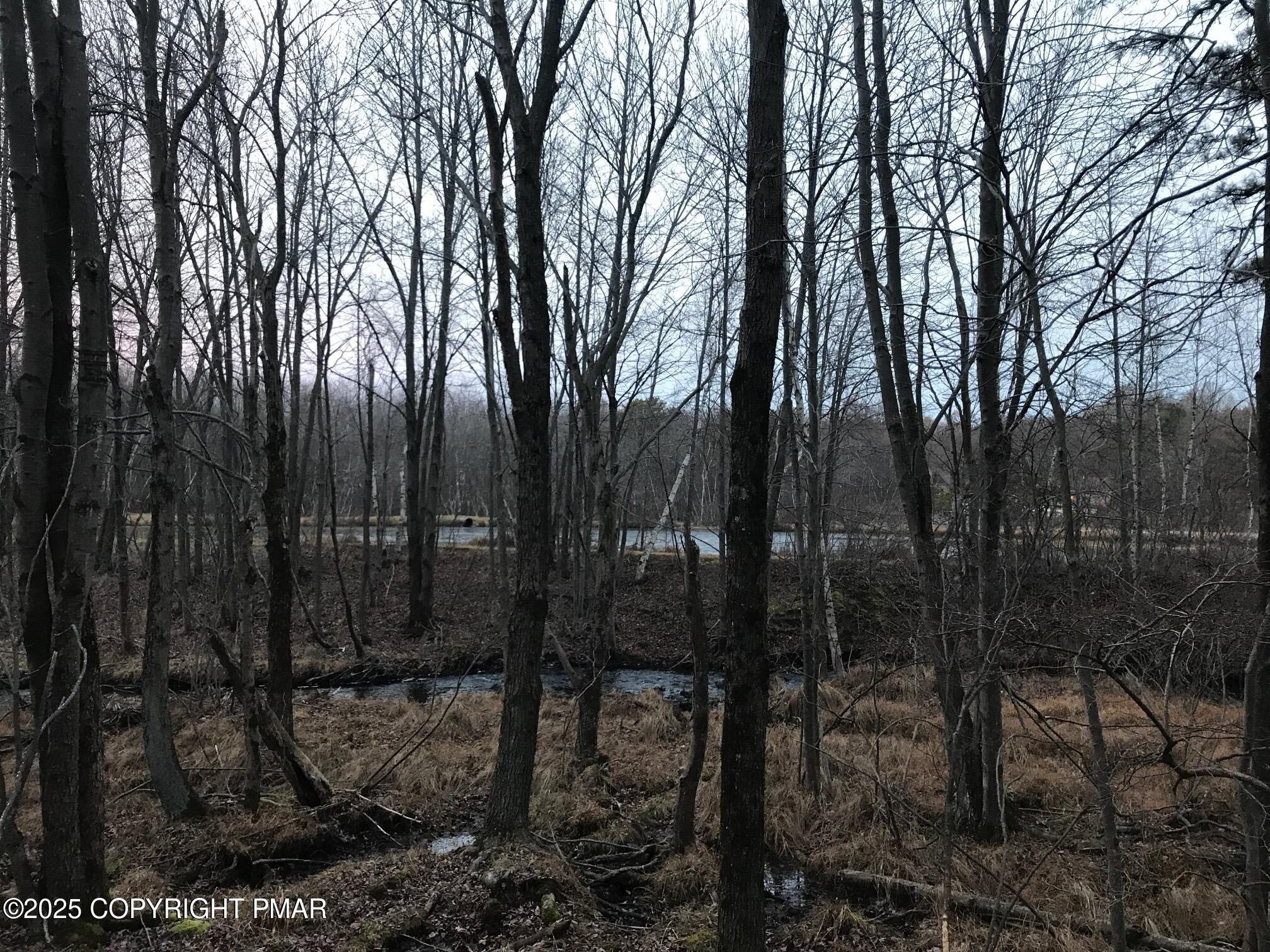 Lot 119 Mountain Rd Property Photo 9