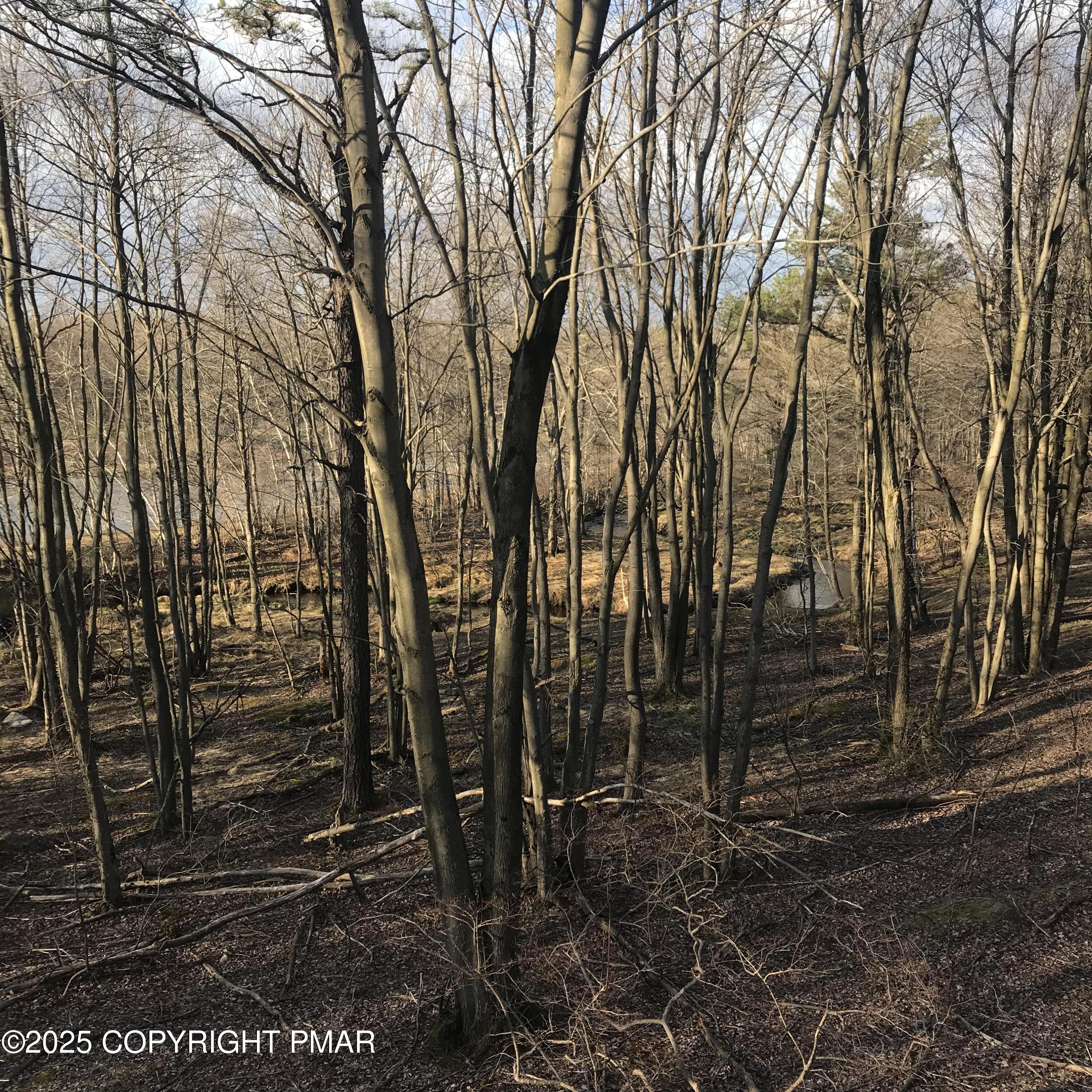 Lot 119 Mountain Rd Property Photo 10