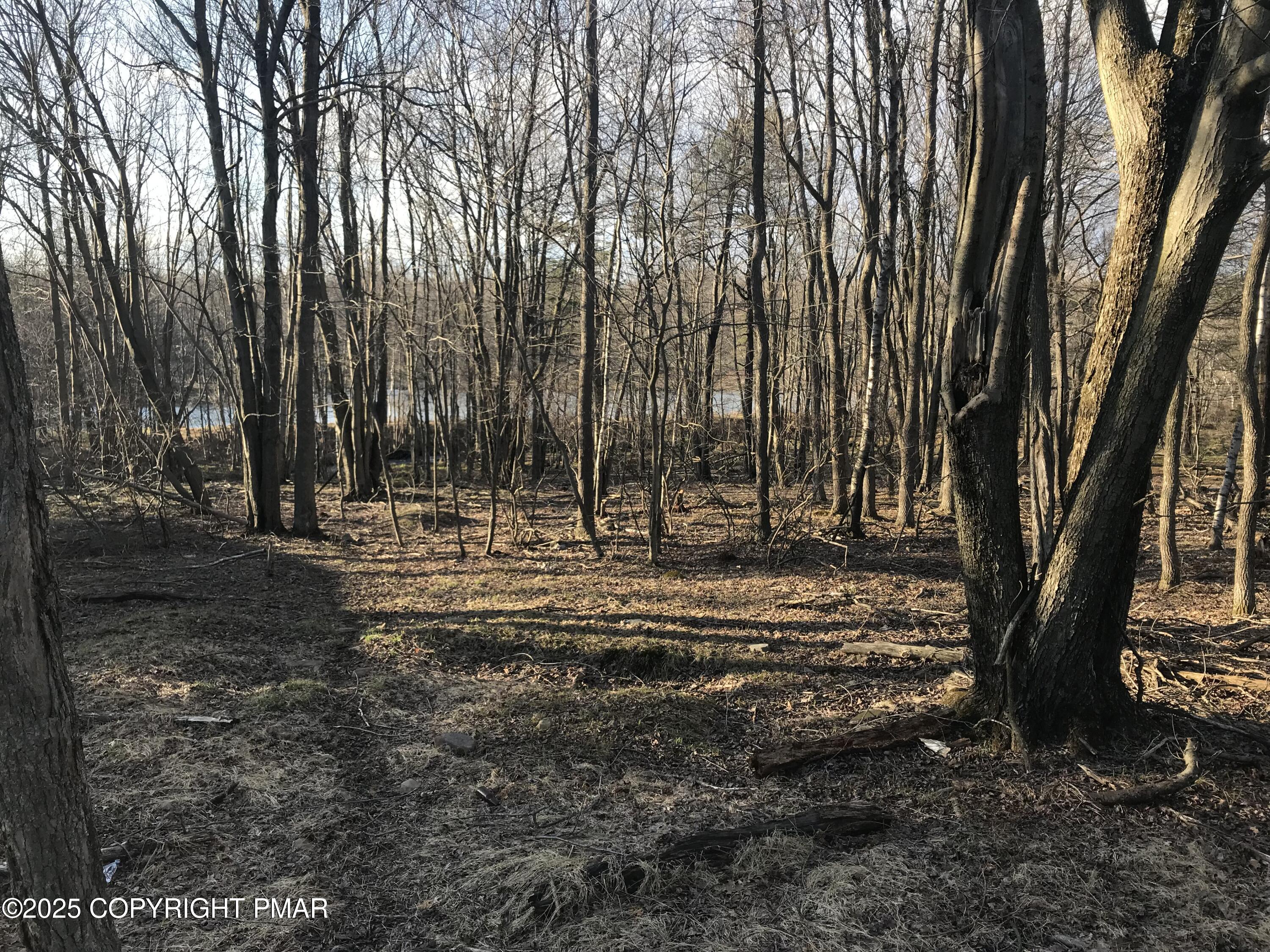 Lot 119 Mountain Rd Property Photo 14