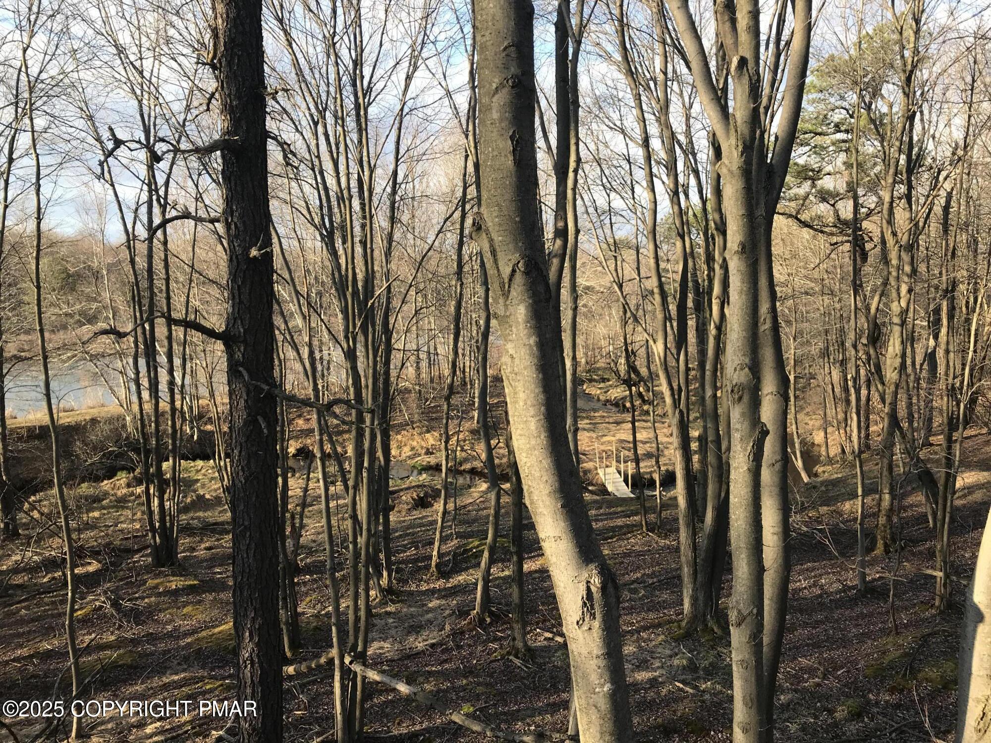 Lot 119 Mountain Rd Property Photo 16