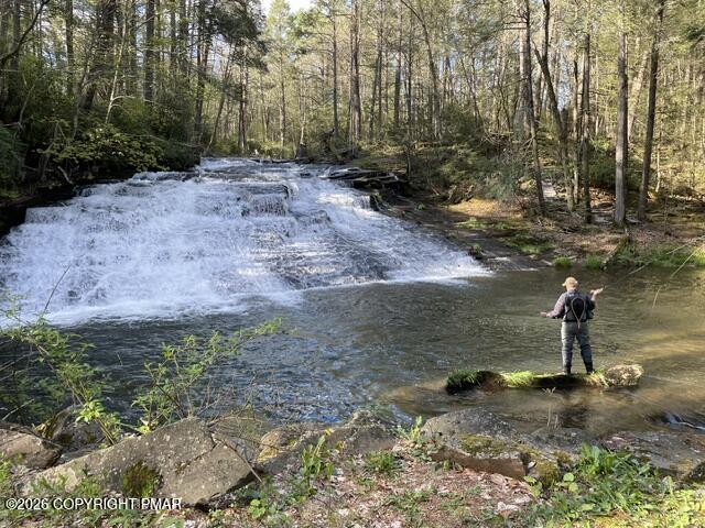 642 Tulip Tree Lane Property Photo 2