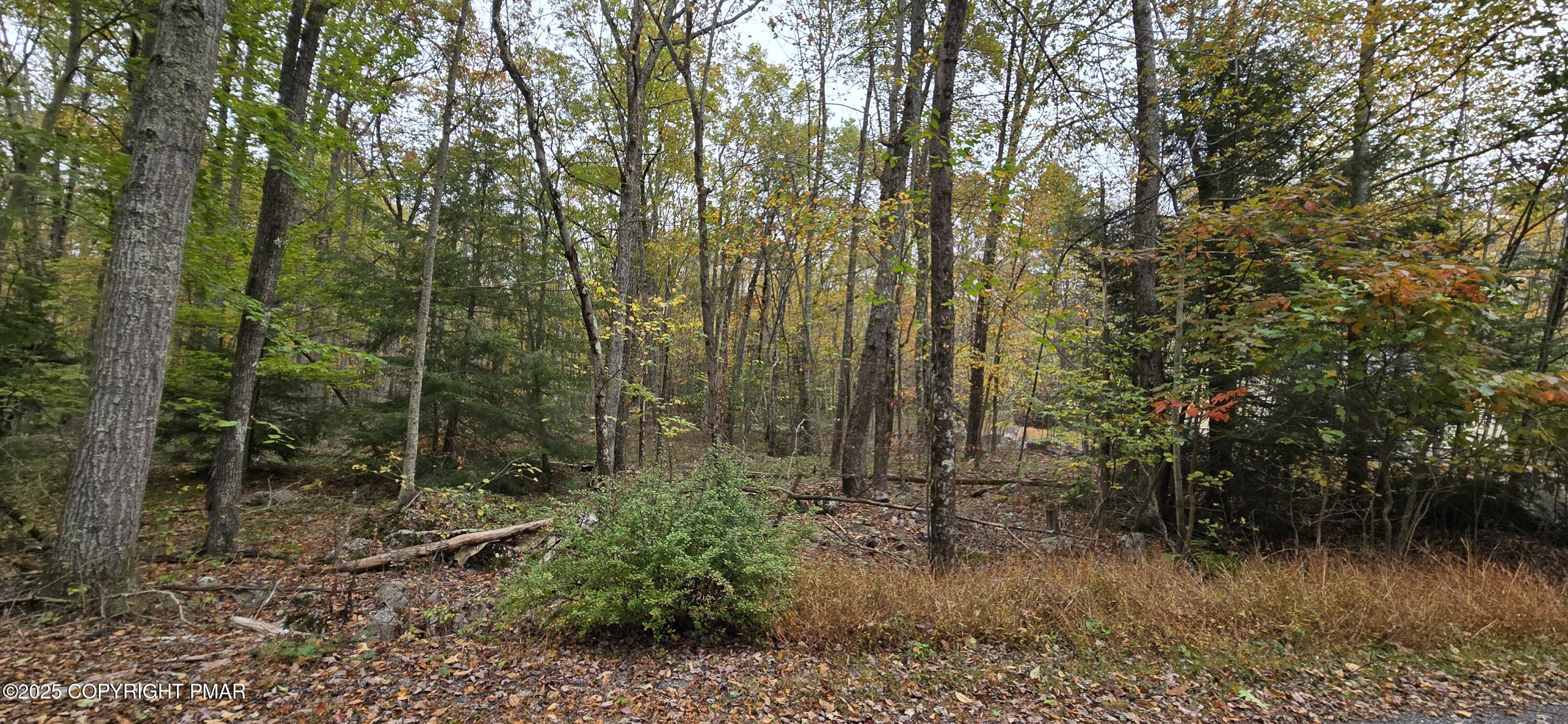 A465 Redwood Drive Property Photo 1