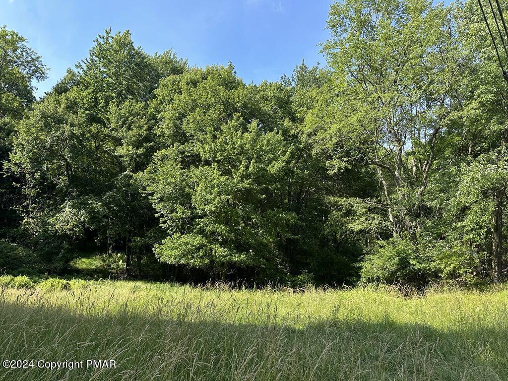 132 Crescent Lake Road Property Photo 2