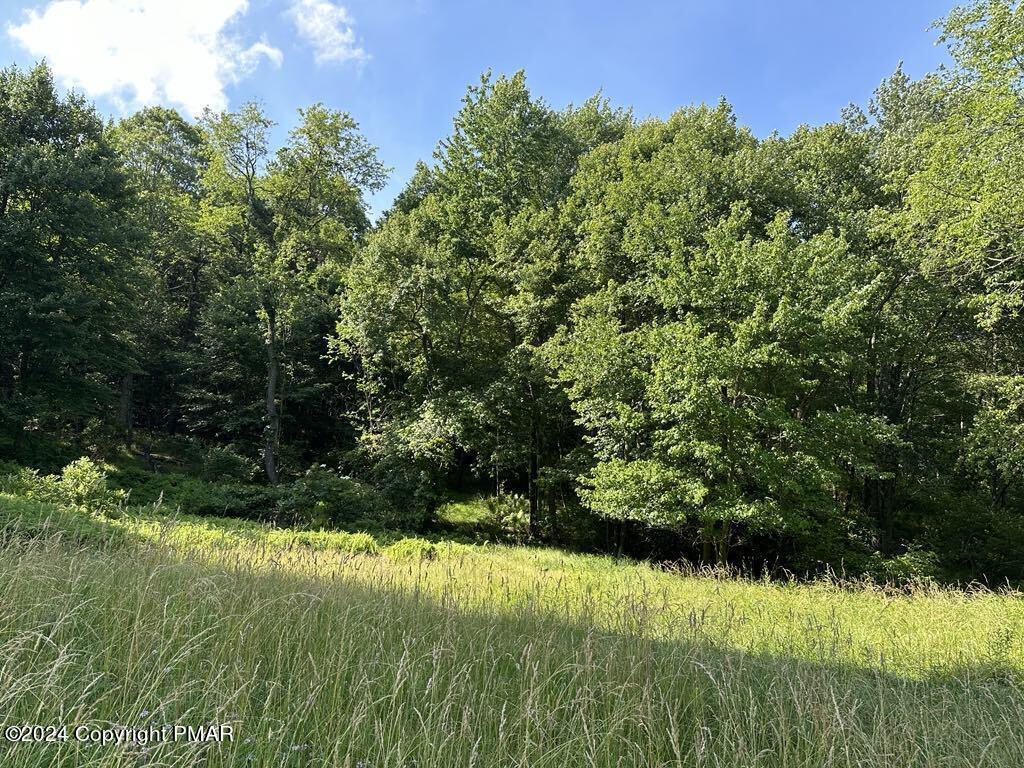 132 Crescent Lake Road Property Photo 3