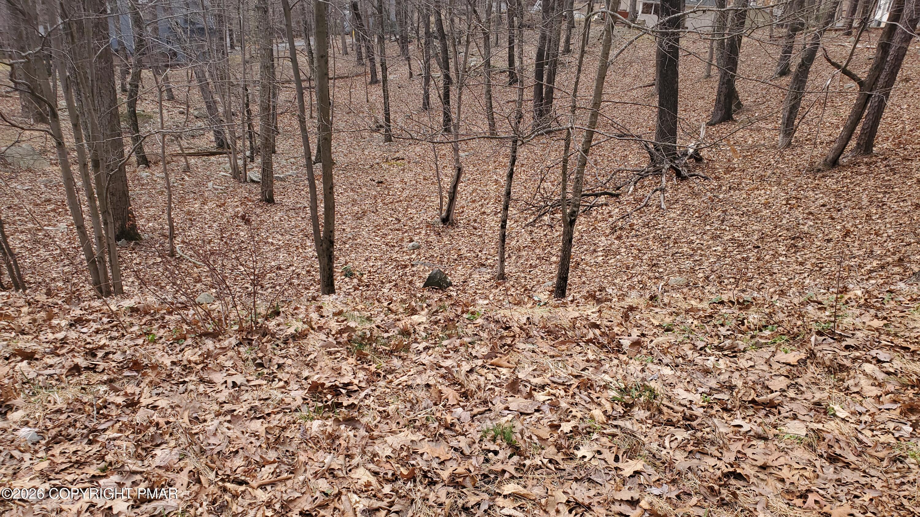 Lot 1686 Exeter Court Property Photo 1