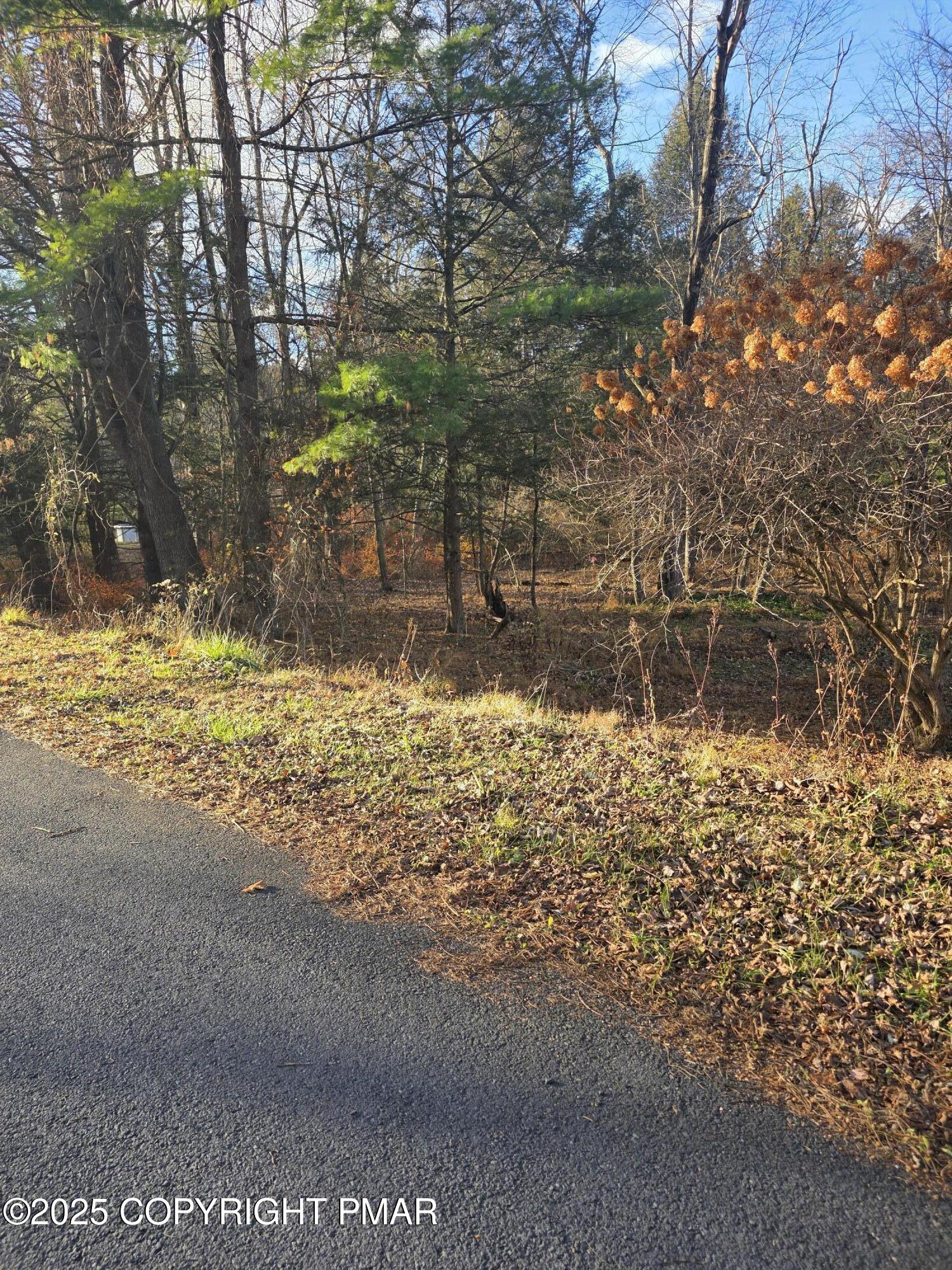 Lot 25 Pinewood Drive S Property Photo 3