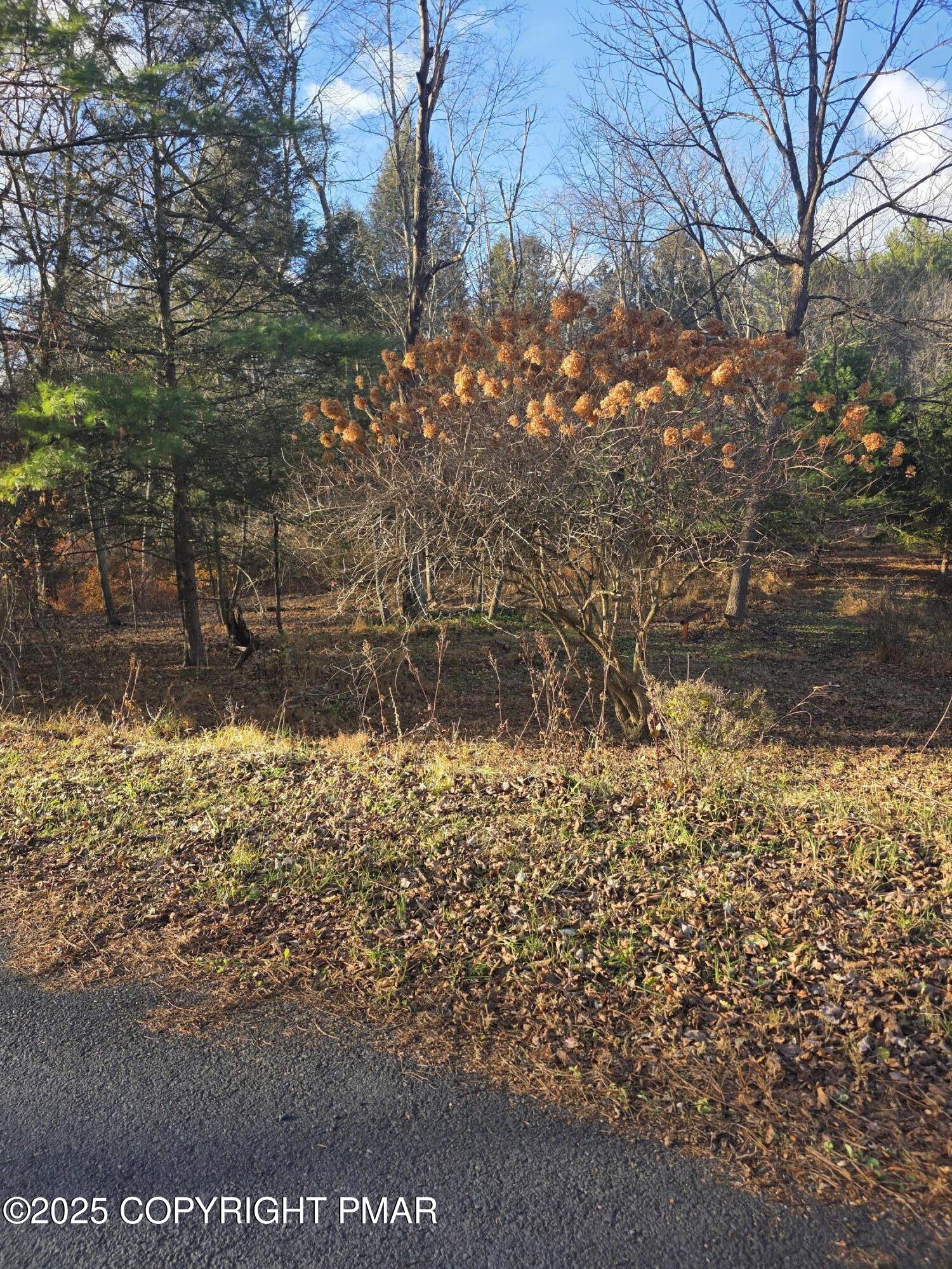 Lot 25 Pinewood Drive S Property Photo 4