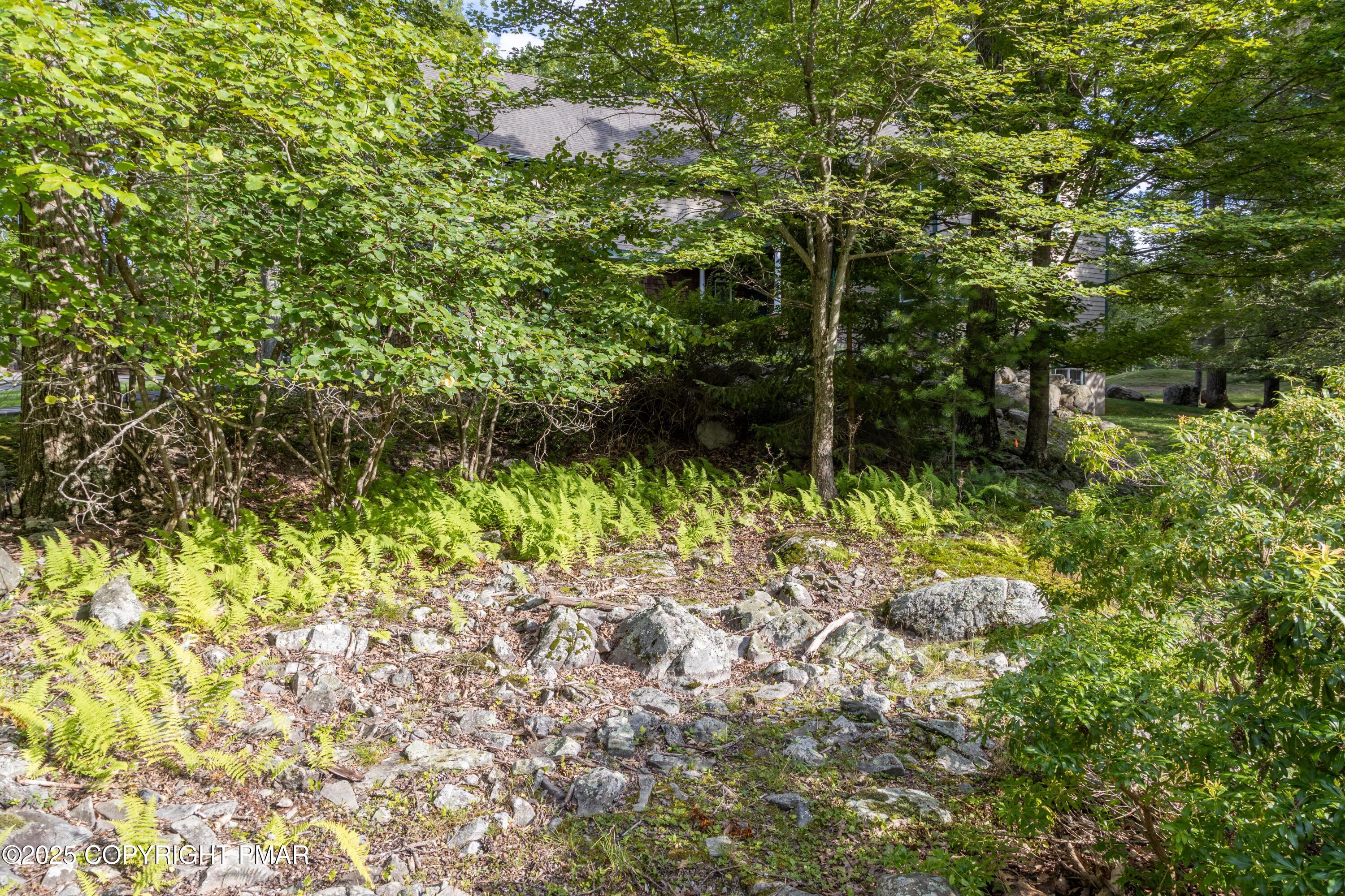 Creekside Road Property Photo 7