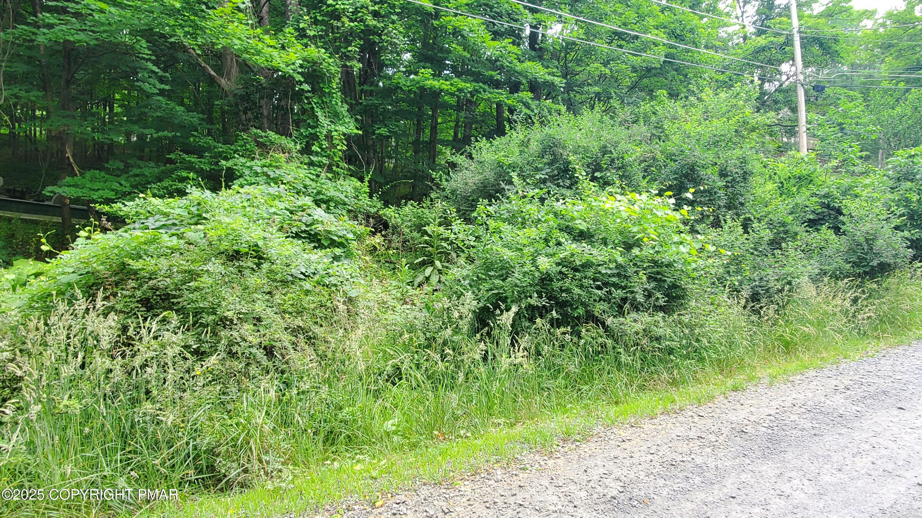 180 Stony Hollow Circle Property Photo 5