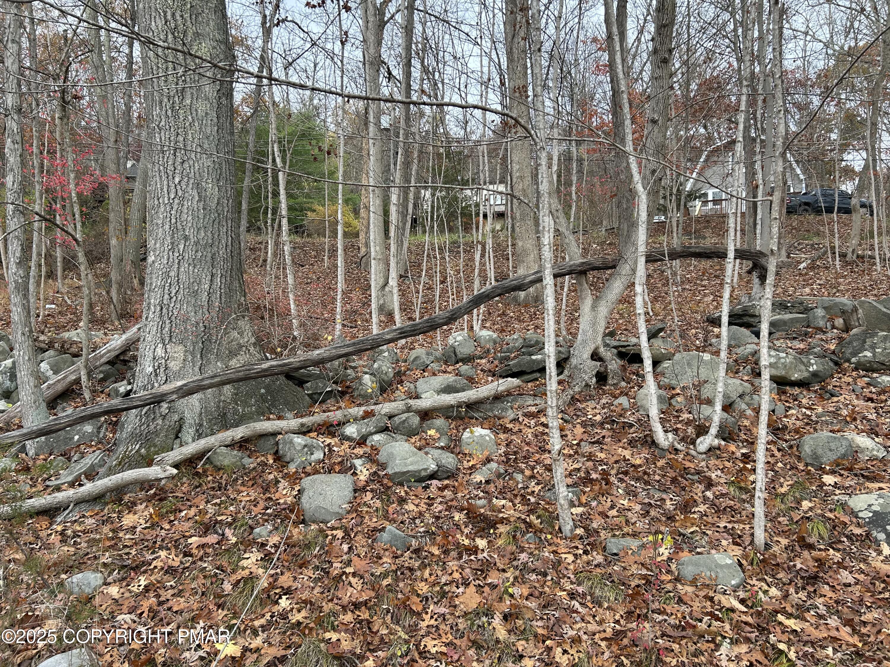 Lot 188 Stony Hollow Circle Property Photo 13