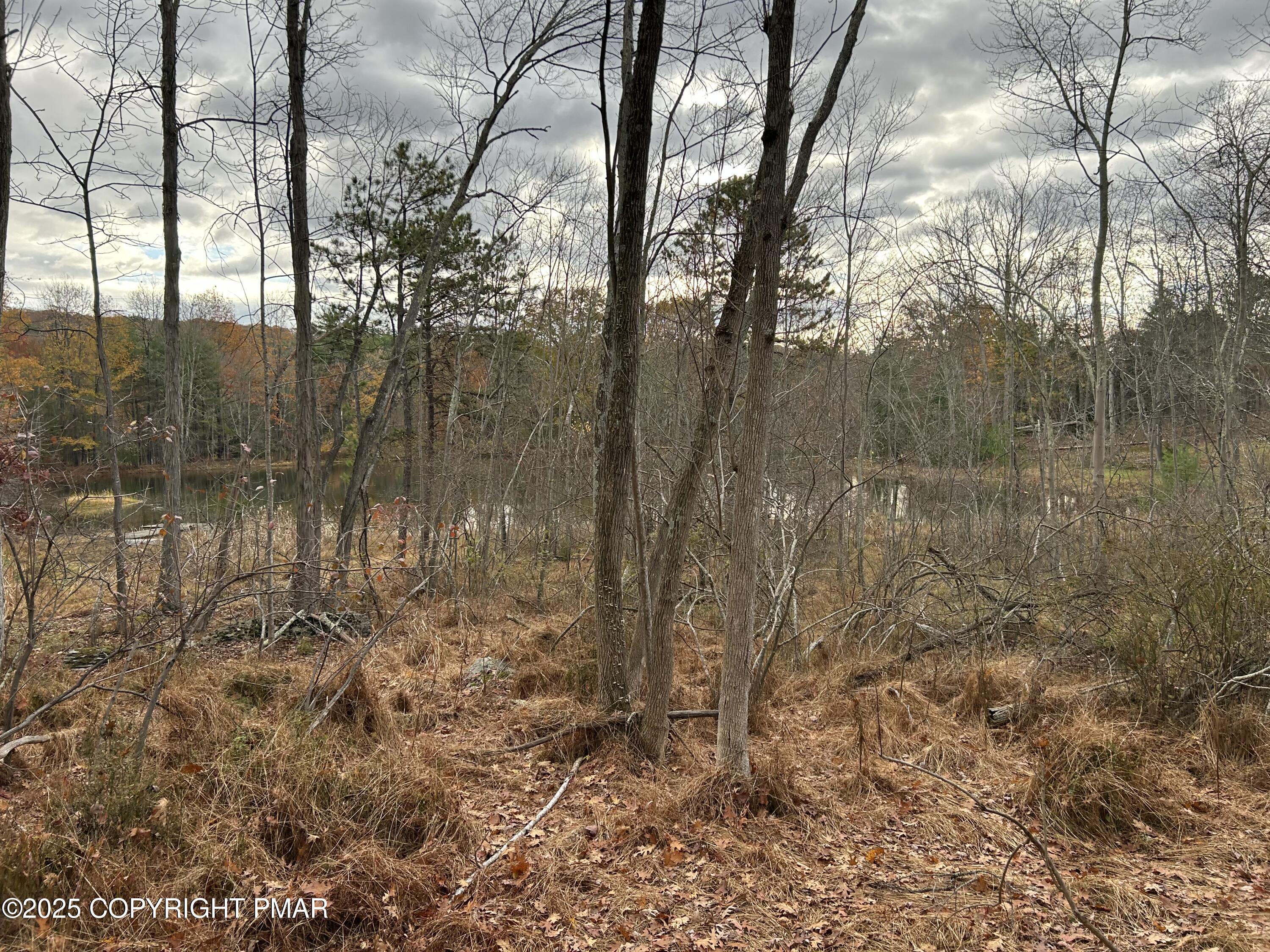 Lot 188 Stony Hollow Circle Property Photo 17