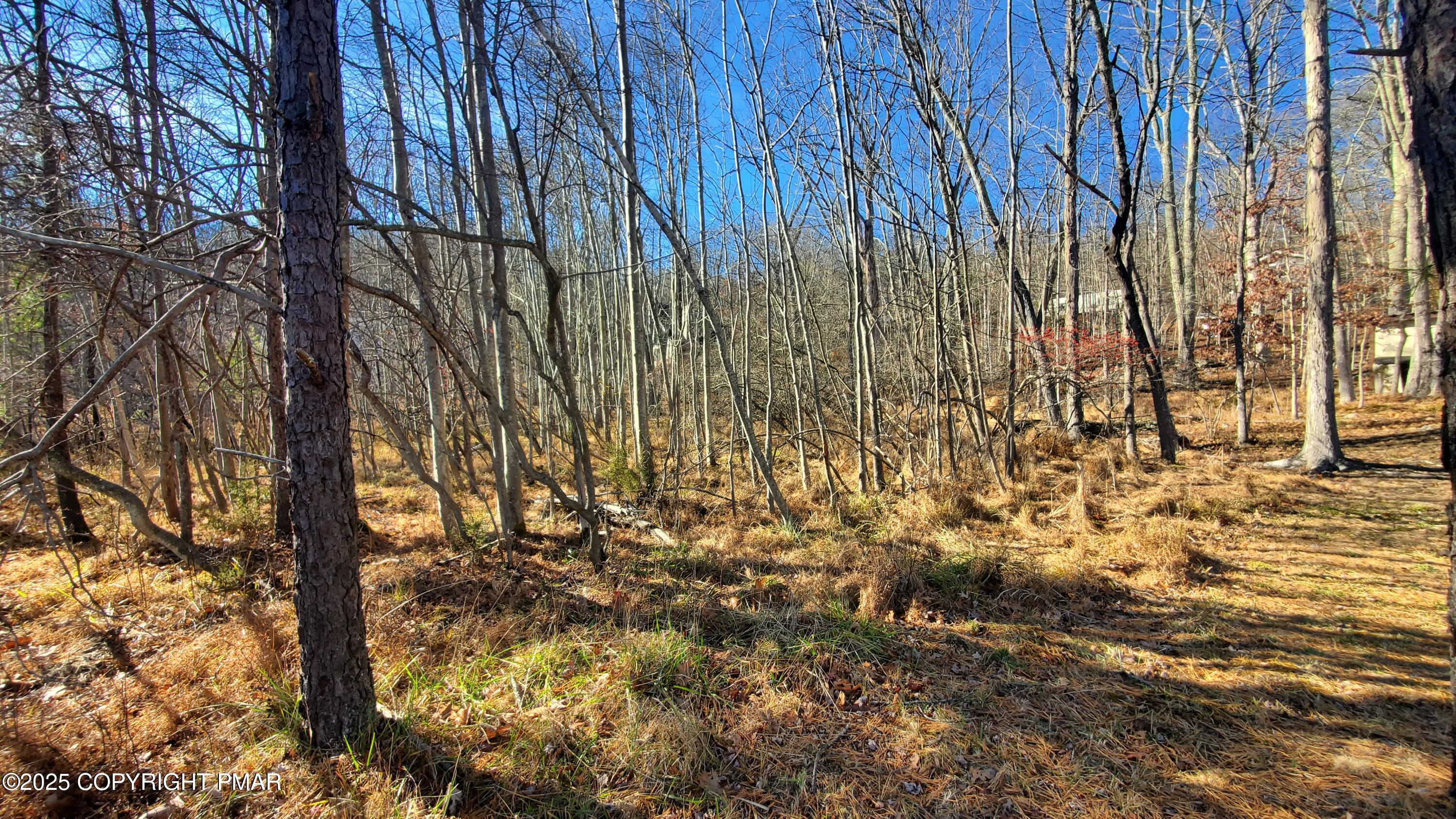 Lot 188 Stony Hollow Circle Property Photo 23