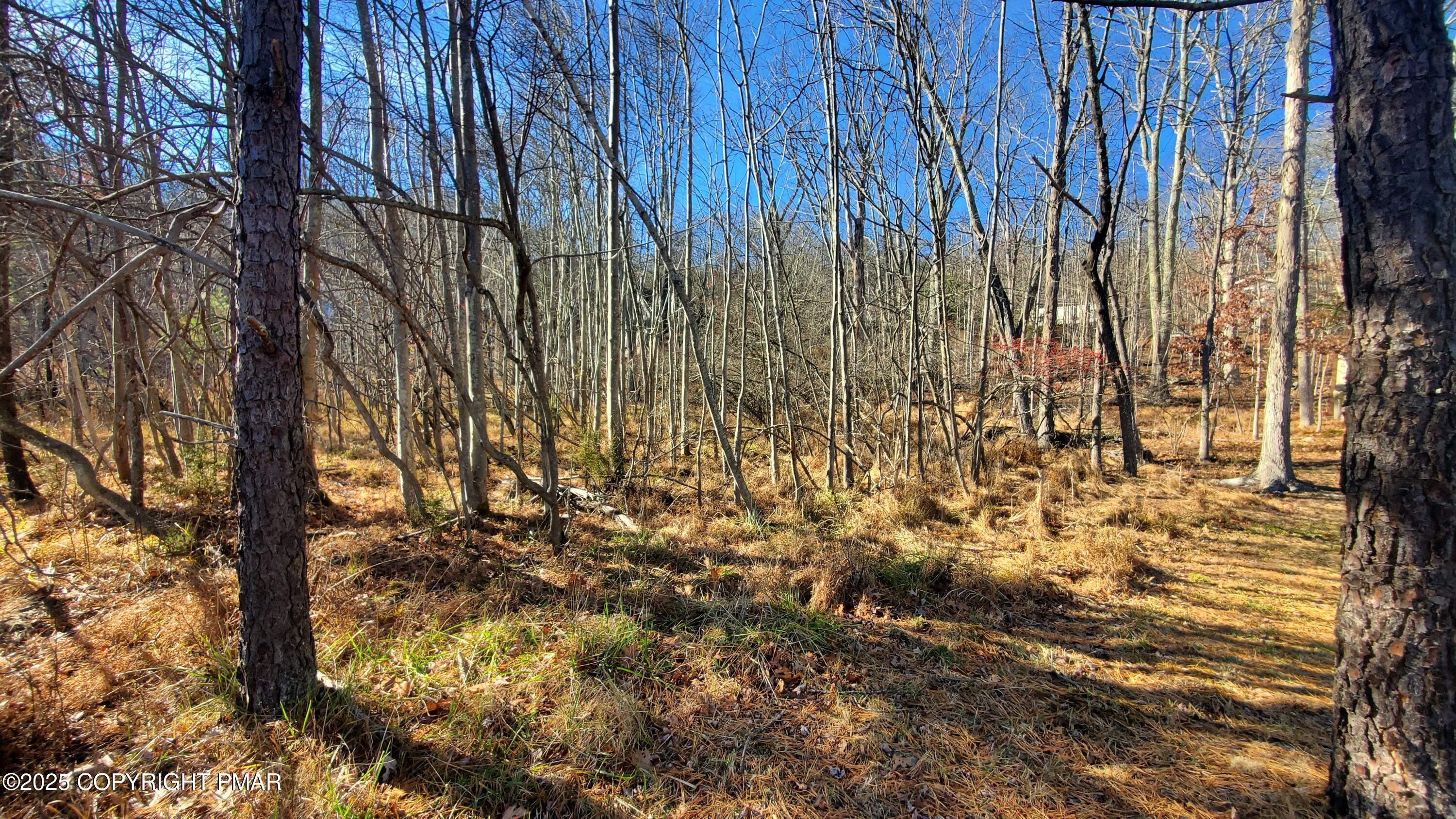 Lot 188 Stony Hollow Circle Property Photo 24